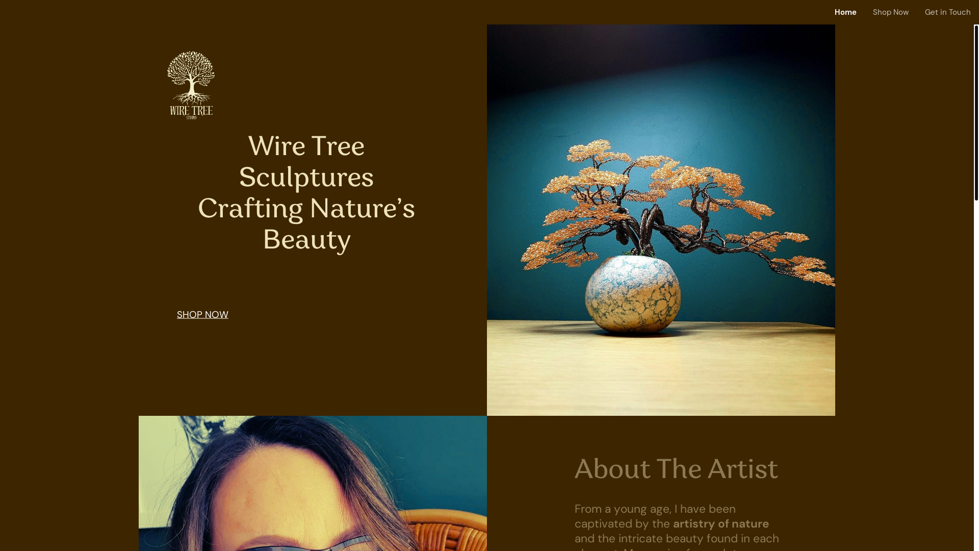 website screenshot of https://wiretreestudio.com/