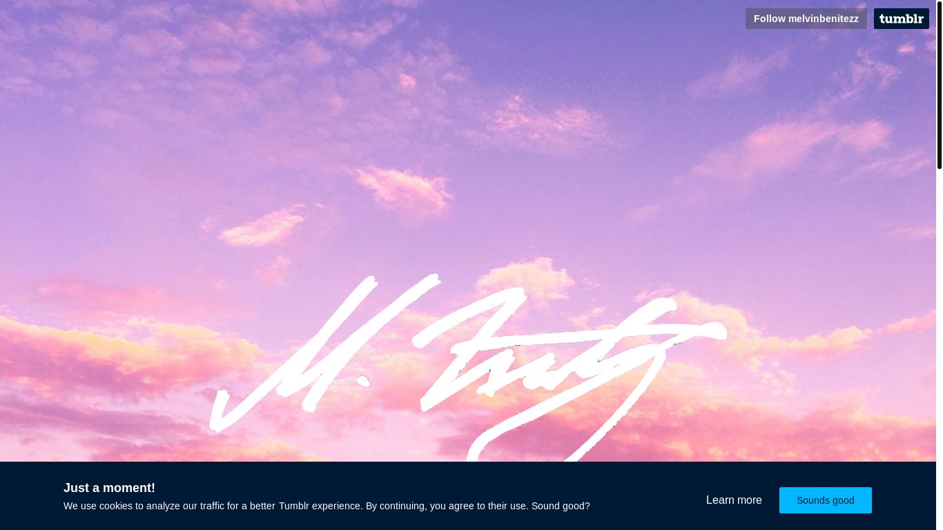 website screenshot of https://melvinbenitez.com/