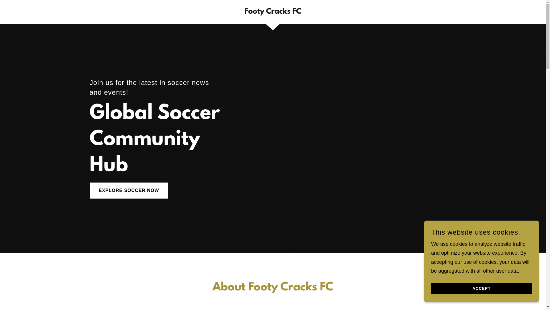 website screenshot of https://footycracksfc.com/