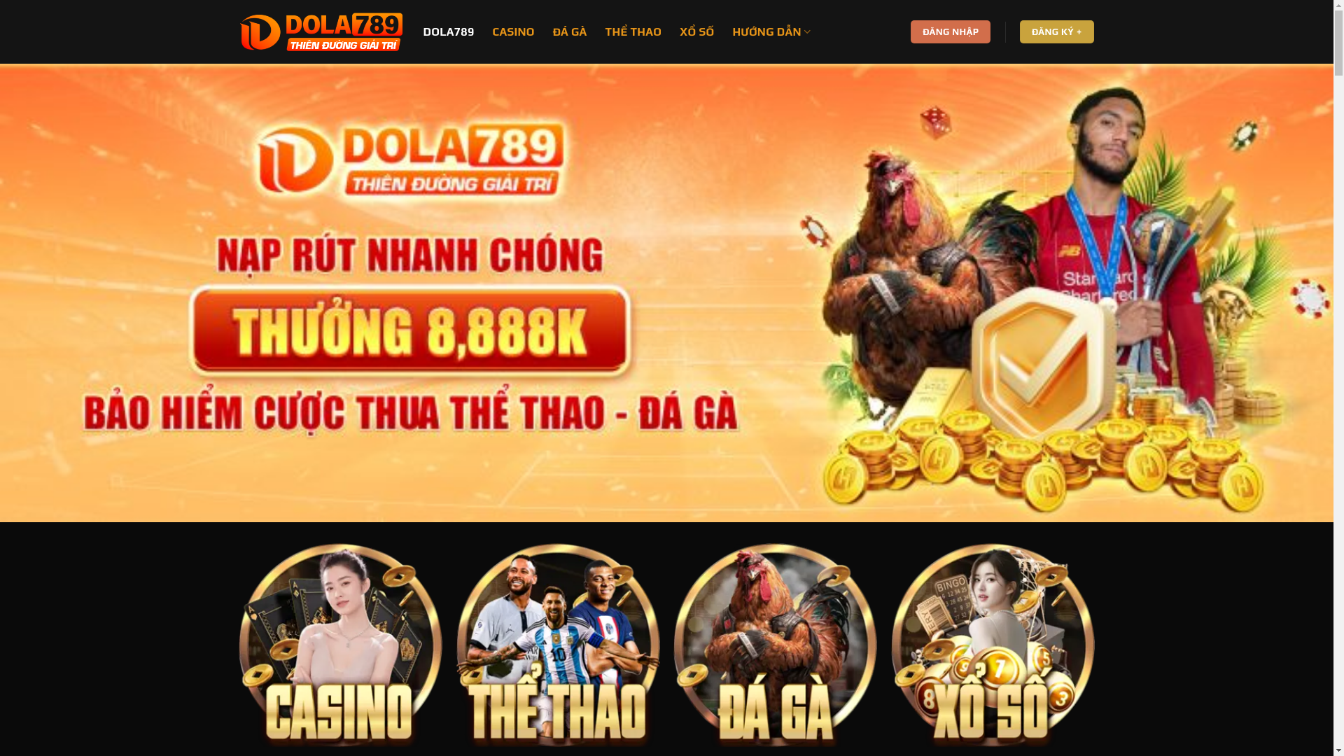 website screenshot of https://dola789vn.world/
