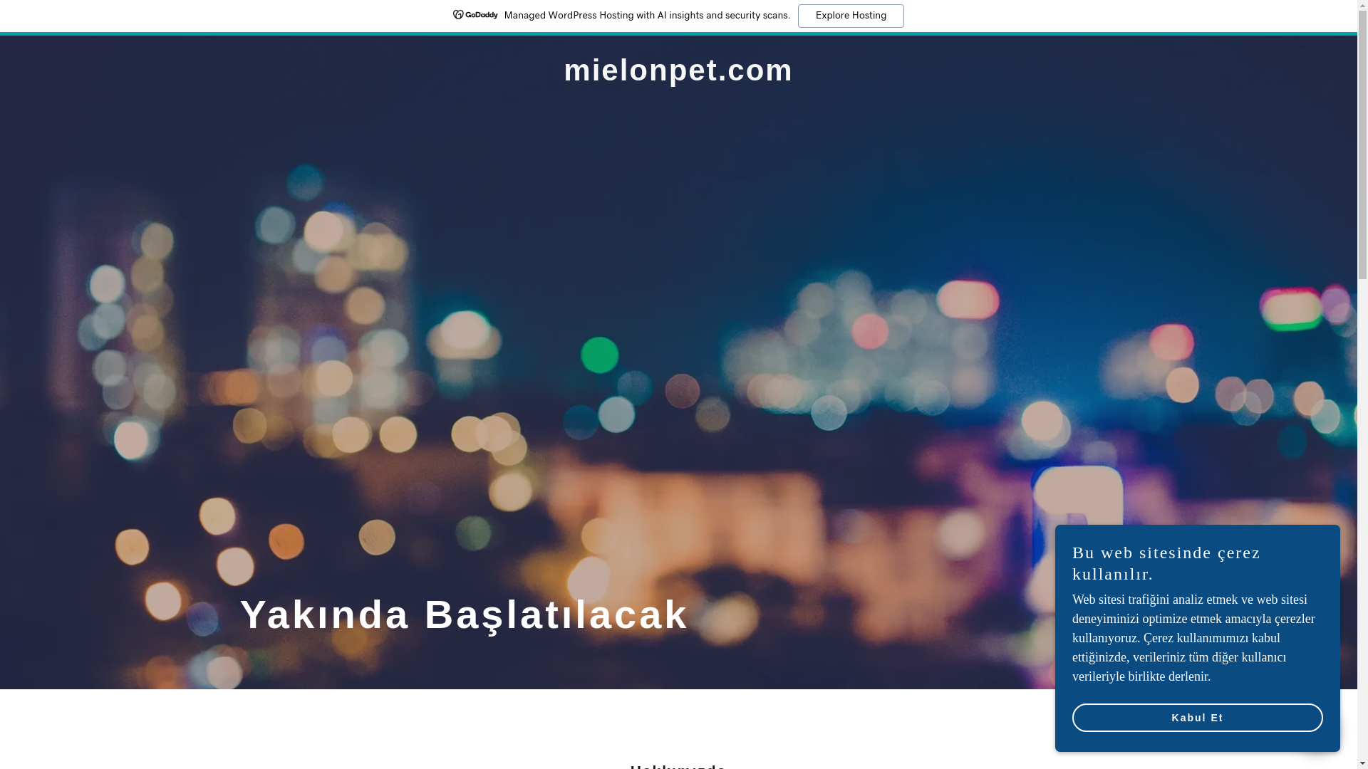 website screenshot of https://mielonpet.com/