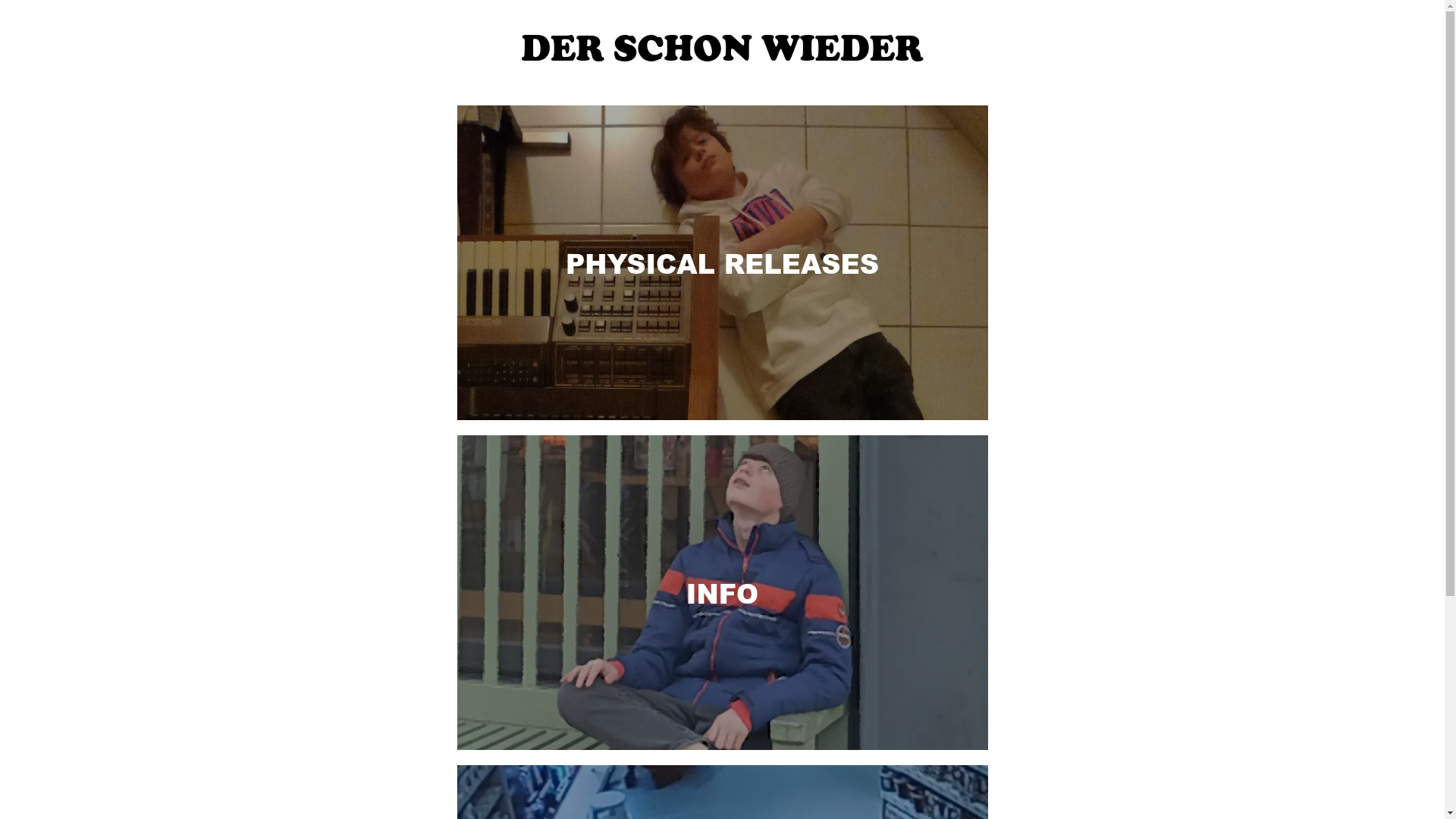 website screenshot of https://derschonwieder.pages.dev/