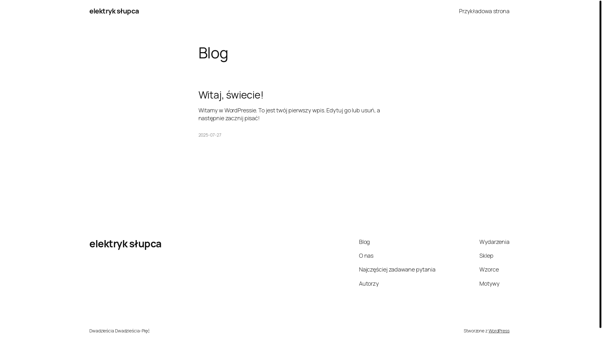 website screenshot of https://elektrykslupca.pl/