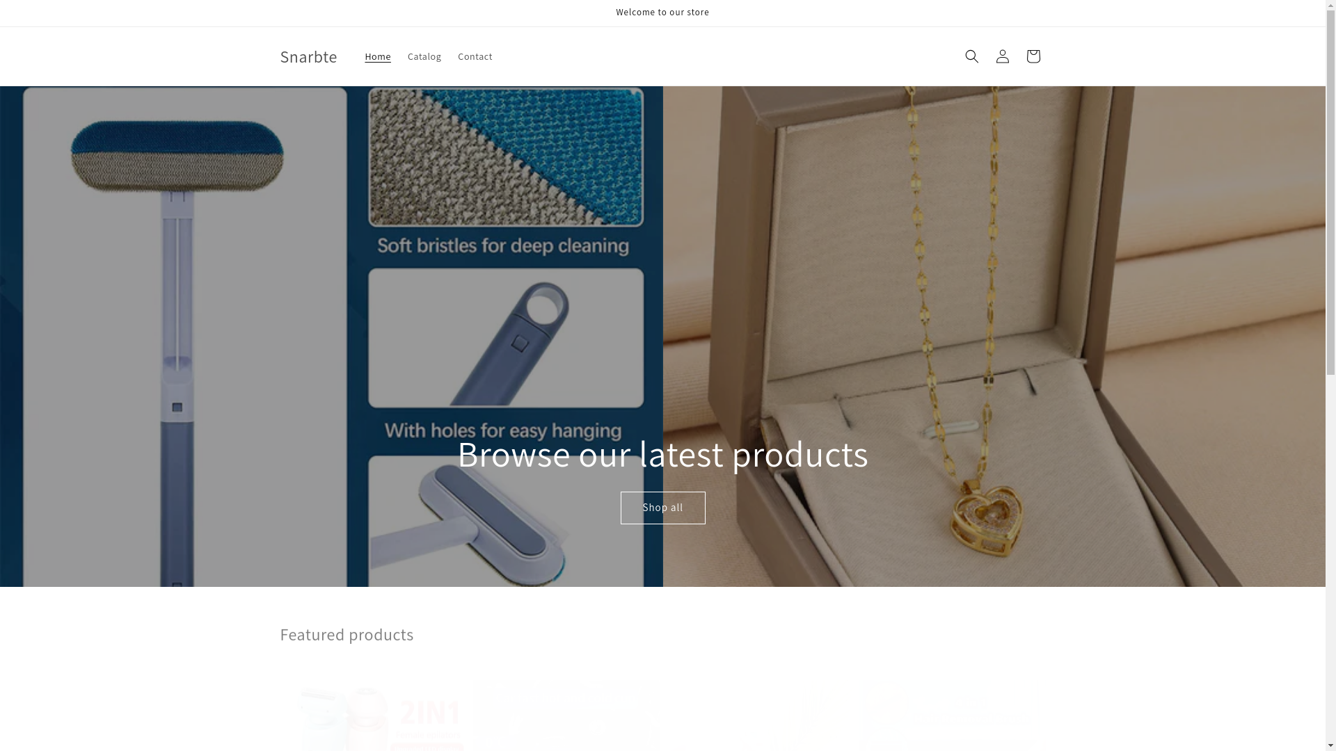 website screenshot of https://snarbte.store/