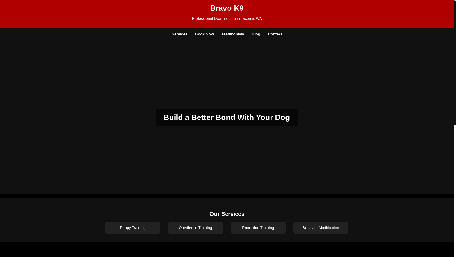 website screenshot of https://bravok9.pages.dev/