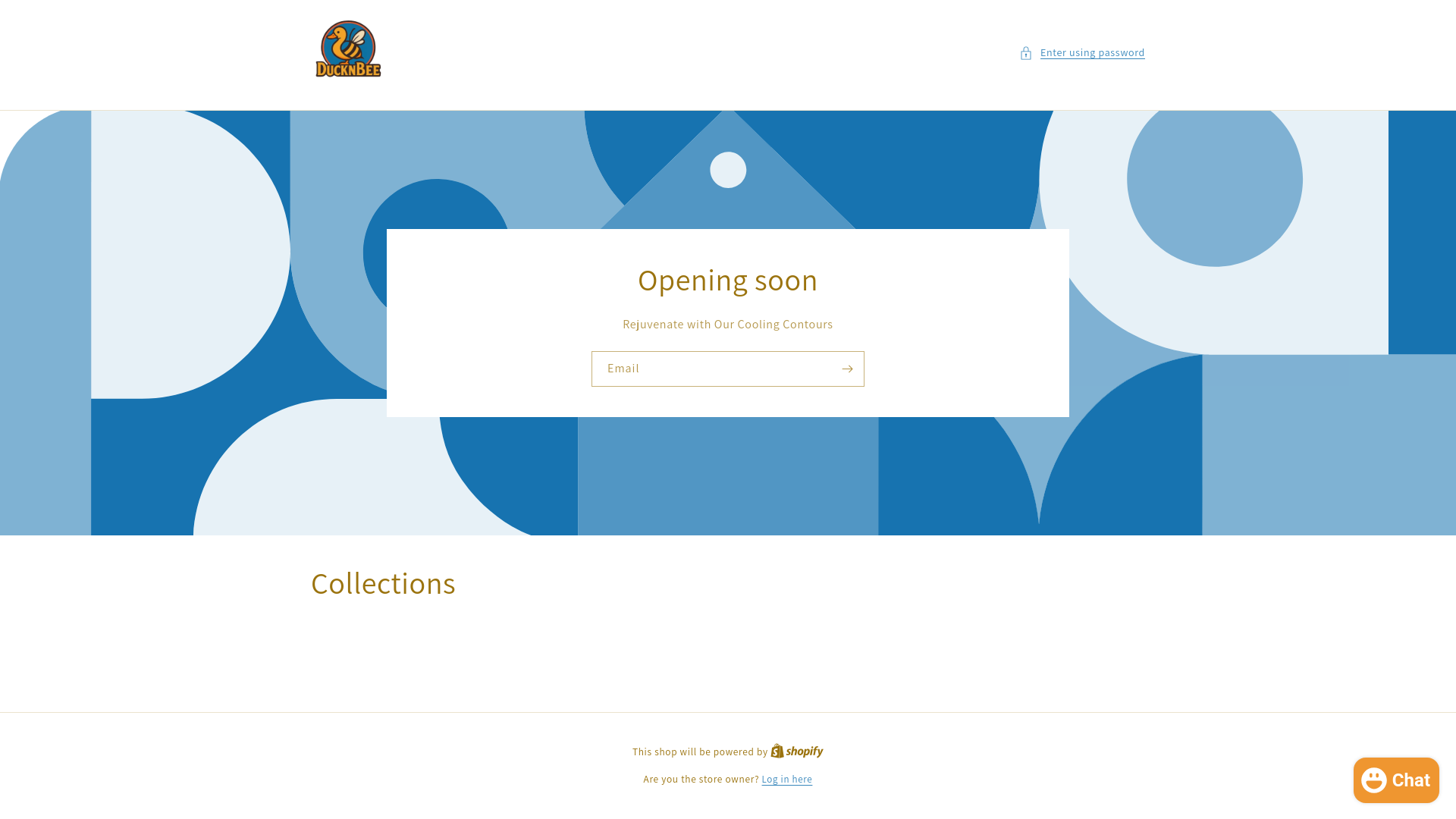 website screenshot of https://ducknbee.com/