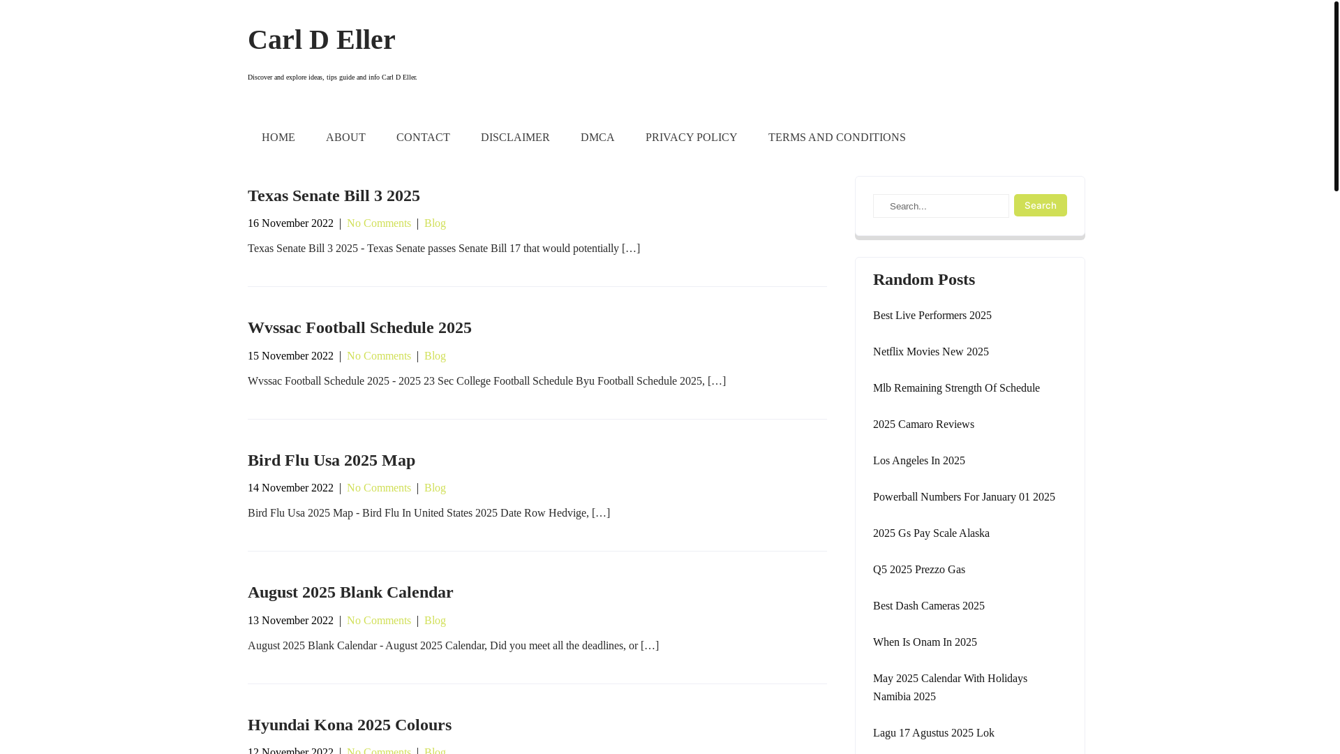 website screenshot of https://carldellerl.pages.dev/