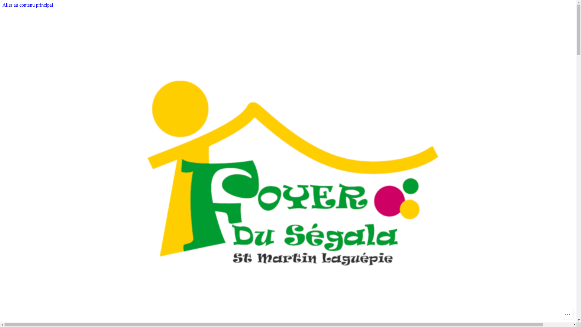 website screenshot of https://foyerdusegala.fr/