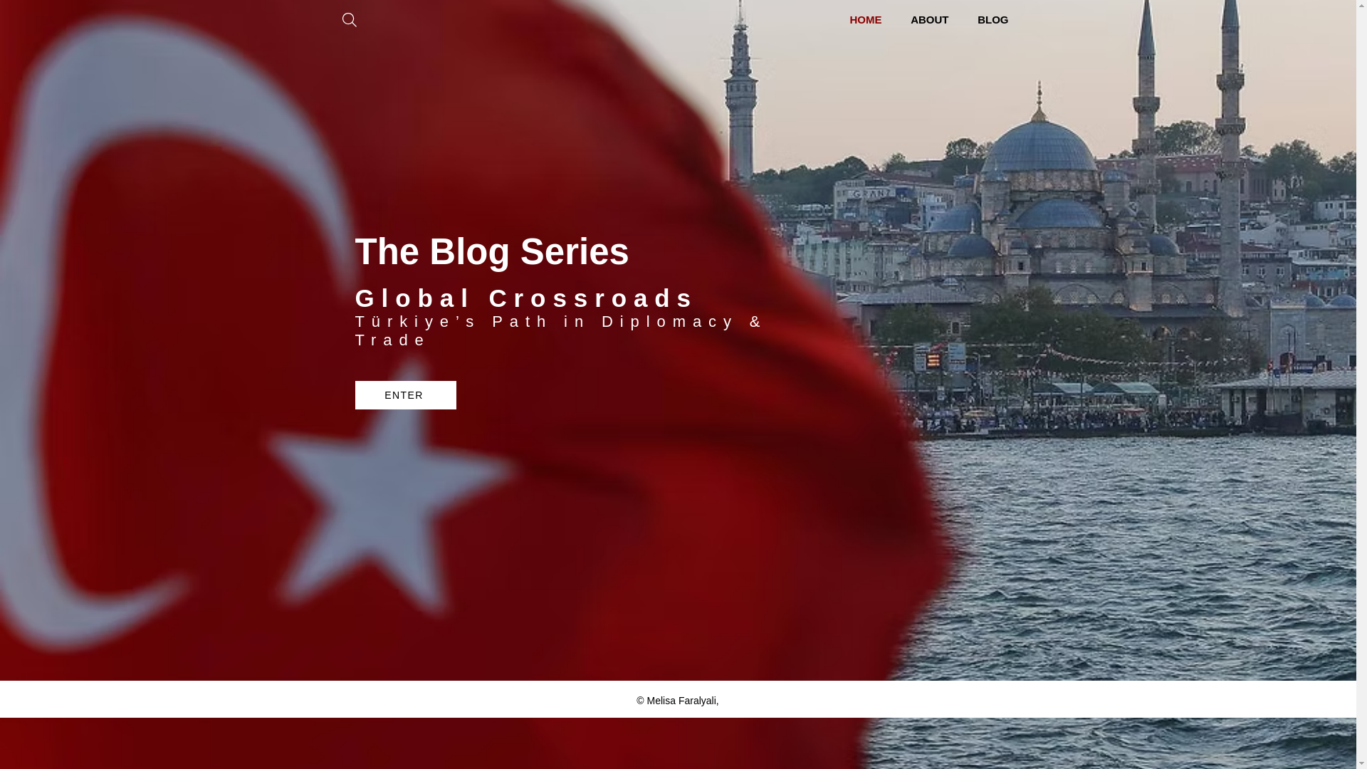 website screenshot of https://xn--throughmytrkiyelens-fbc.com/