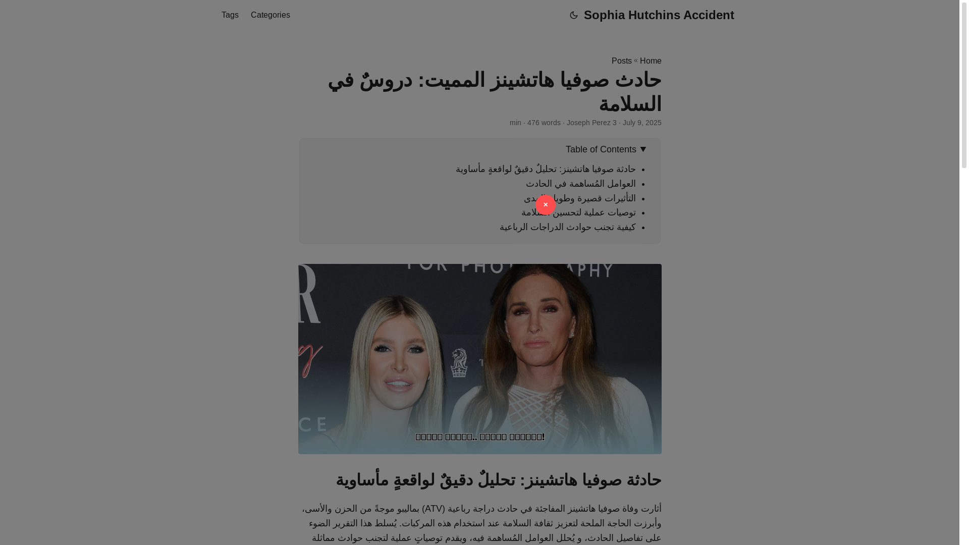 website screenshot of https://sophia-hutchins-accident.pages.dev/