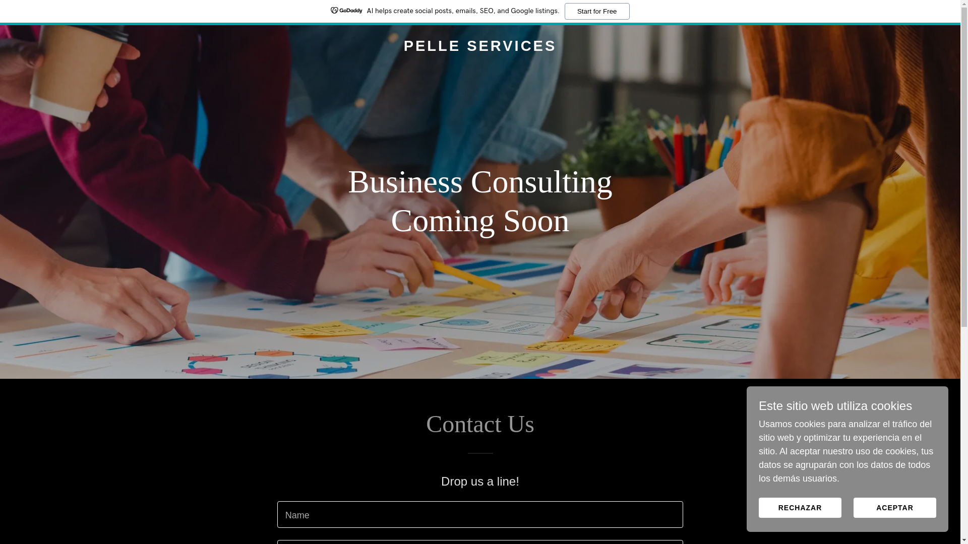 website screenshot of https://pelle.services/