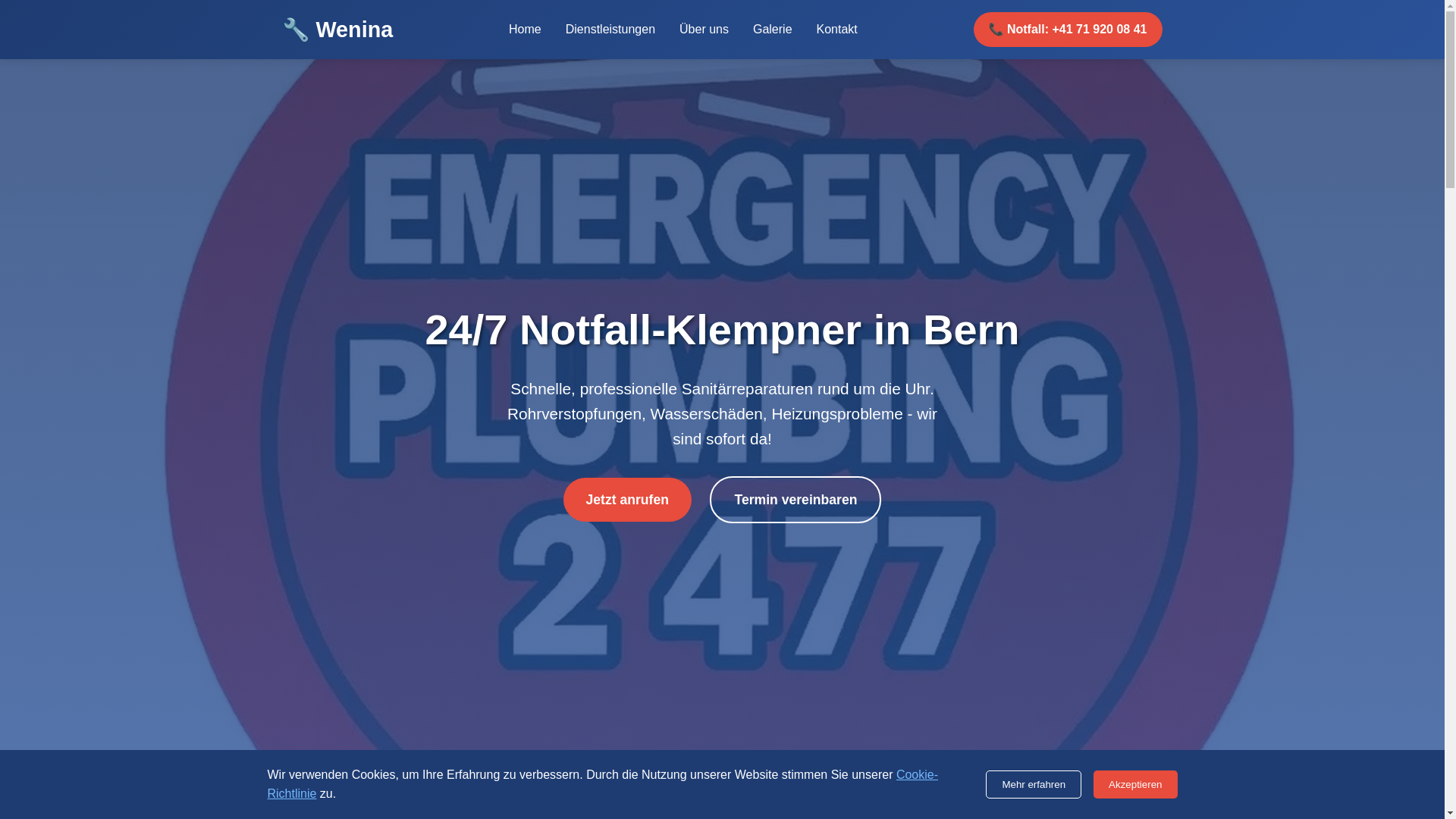 website screenshot of https://wenina.org/