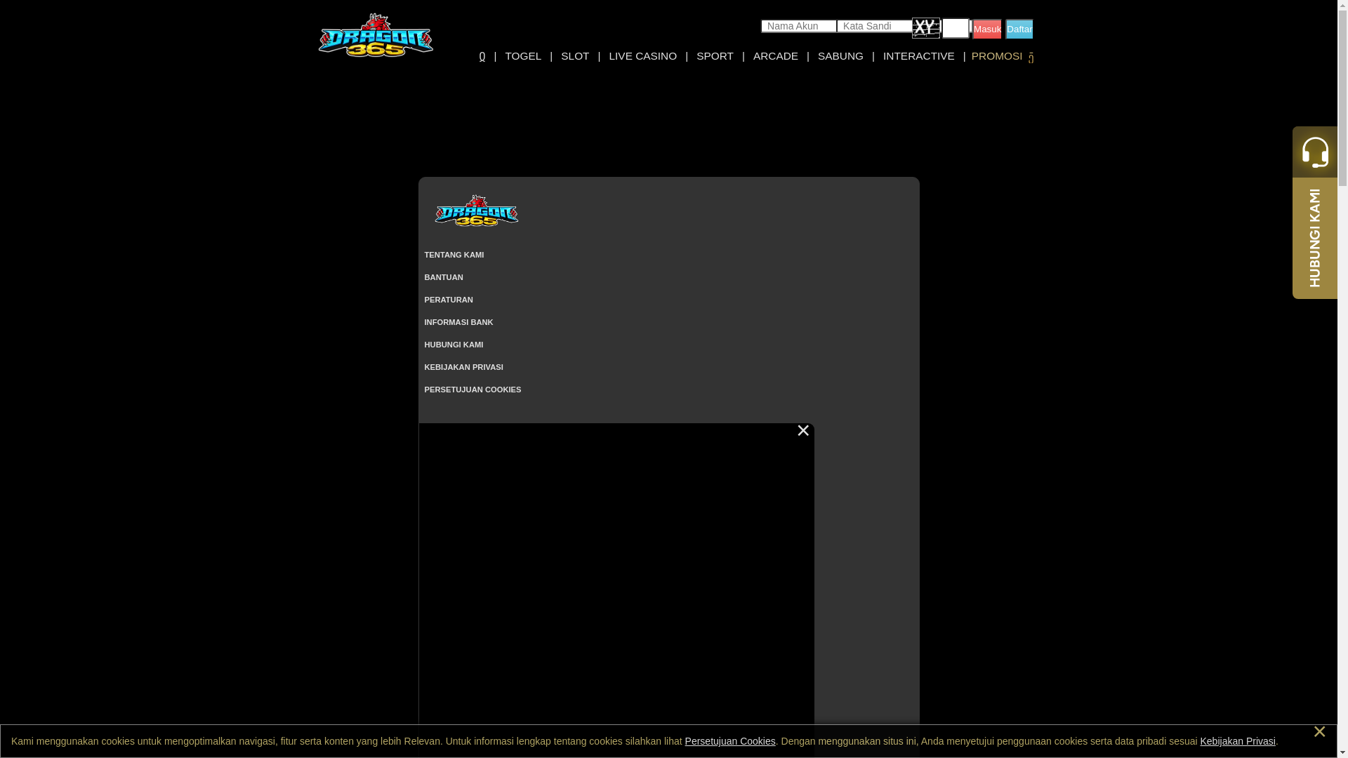 website screenshot of https://dragon365jump4.com/