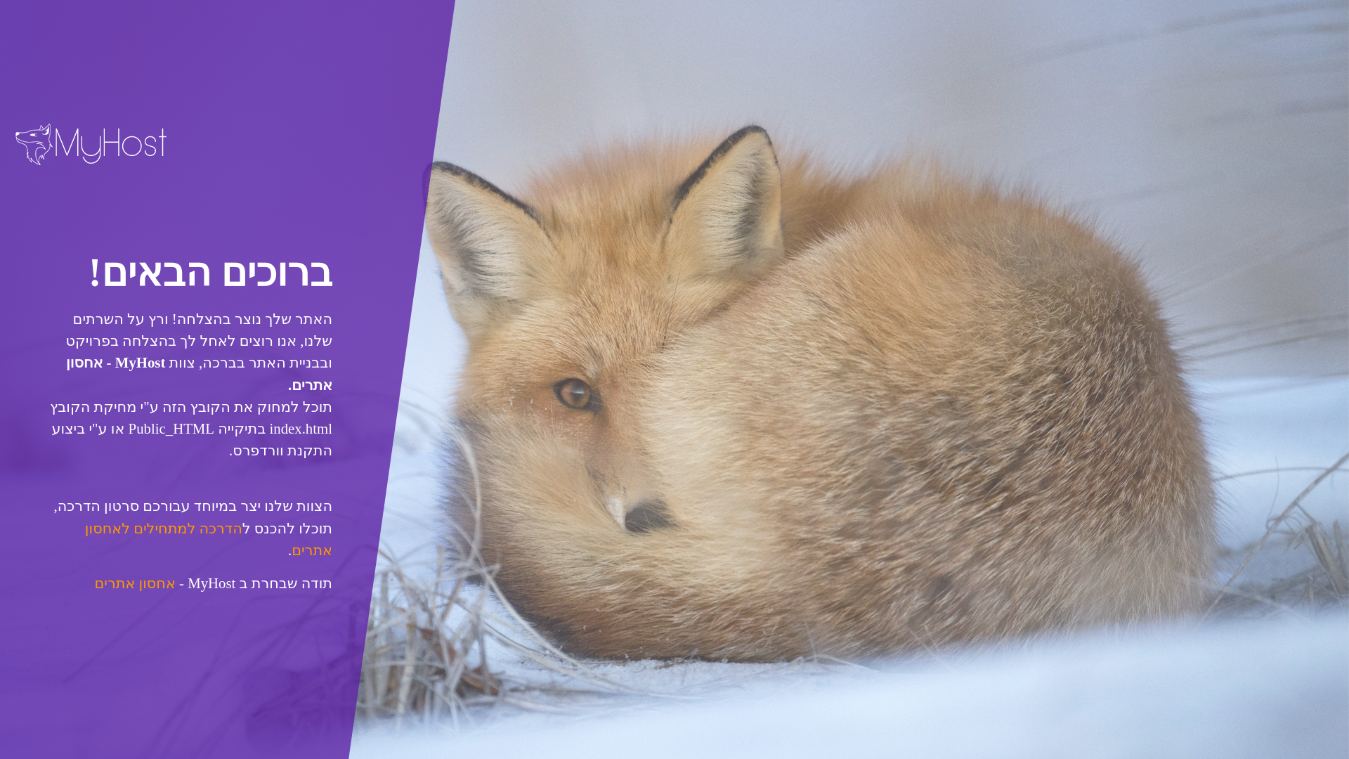 website screenshot of https://ptakimbook.com/