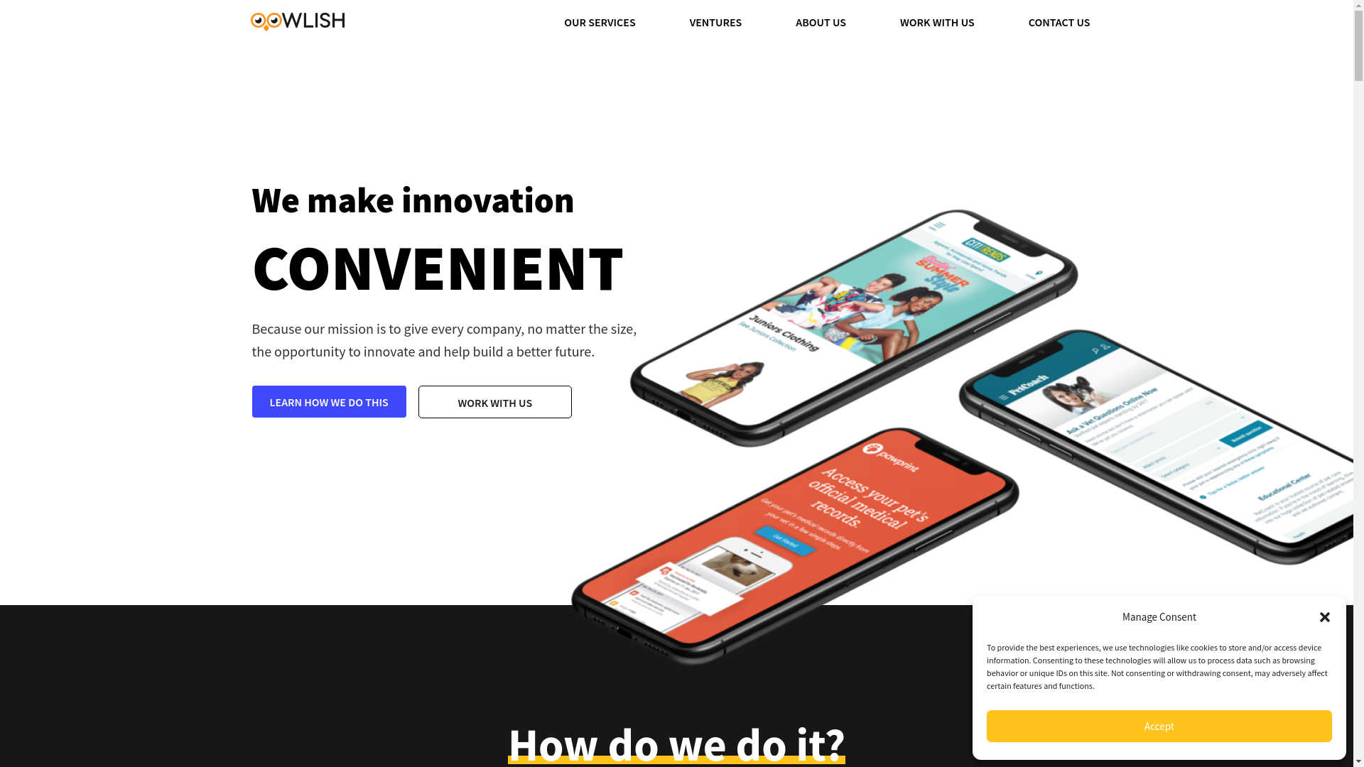 website screenshot of https://startoowlish.com/