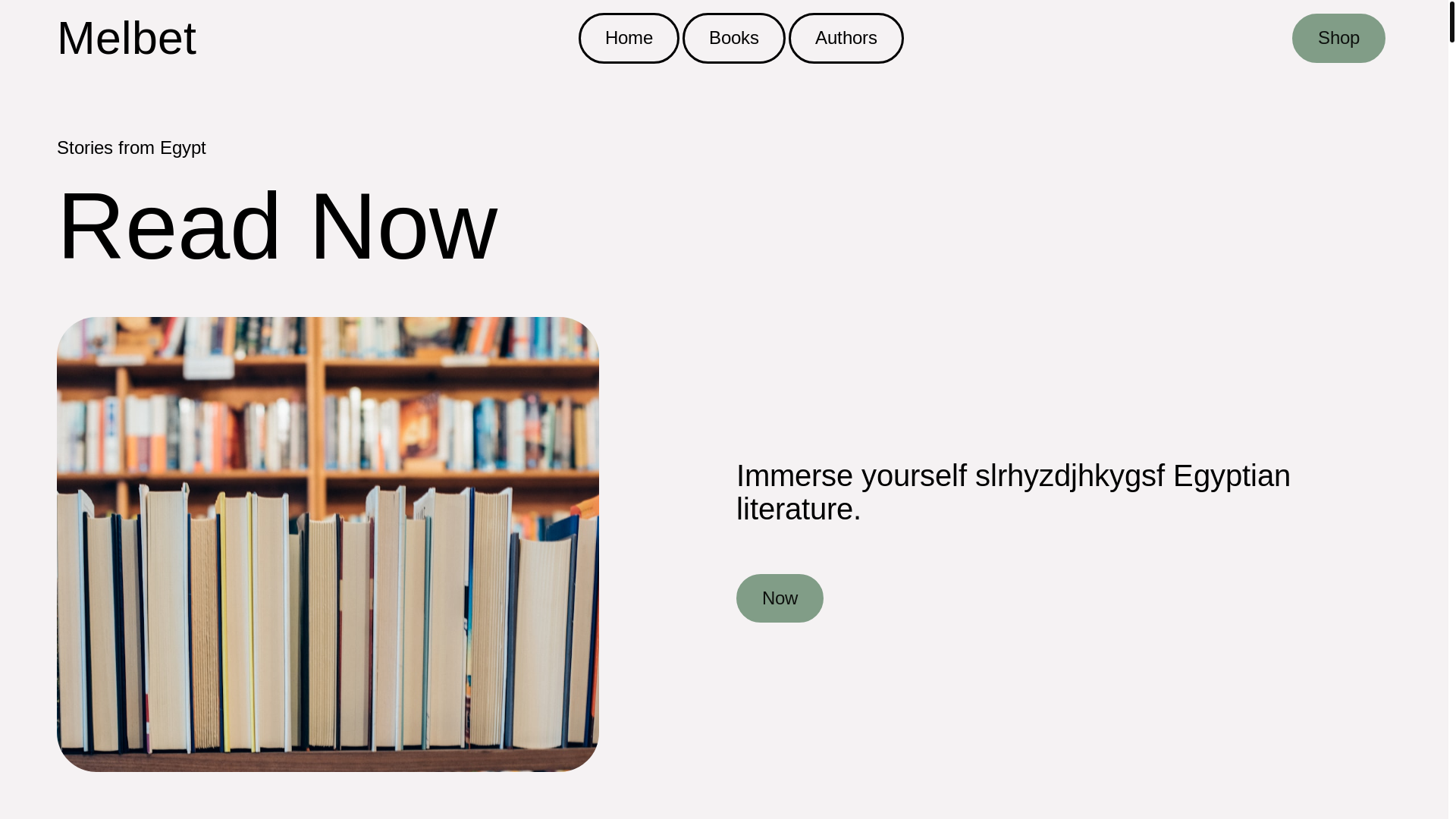 website screenshot of https://melbedopenmirror.pro/