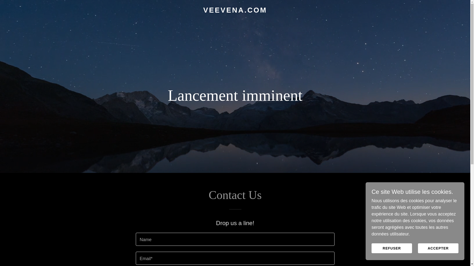 website screenshot of https://veevena.com/
