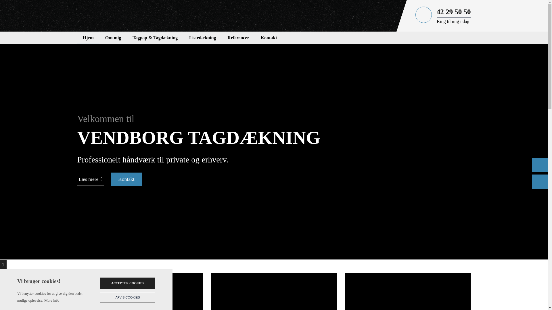 website screenshot of https://xn--vendborgtagdkning-2rb.dk/