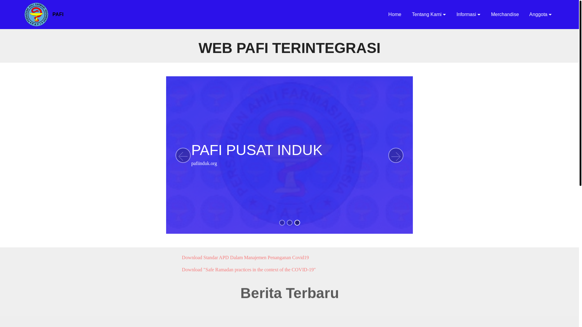 website screenshot of https://pafi-bengkuluselatan-org.pages.dev/