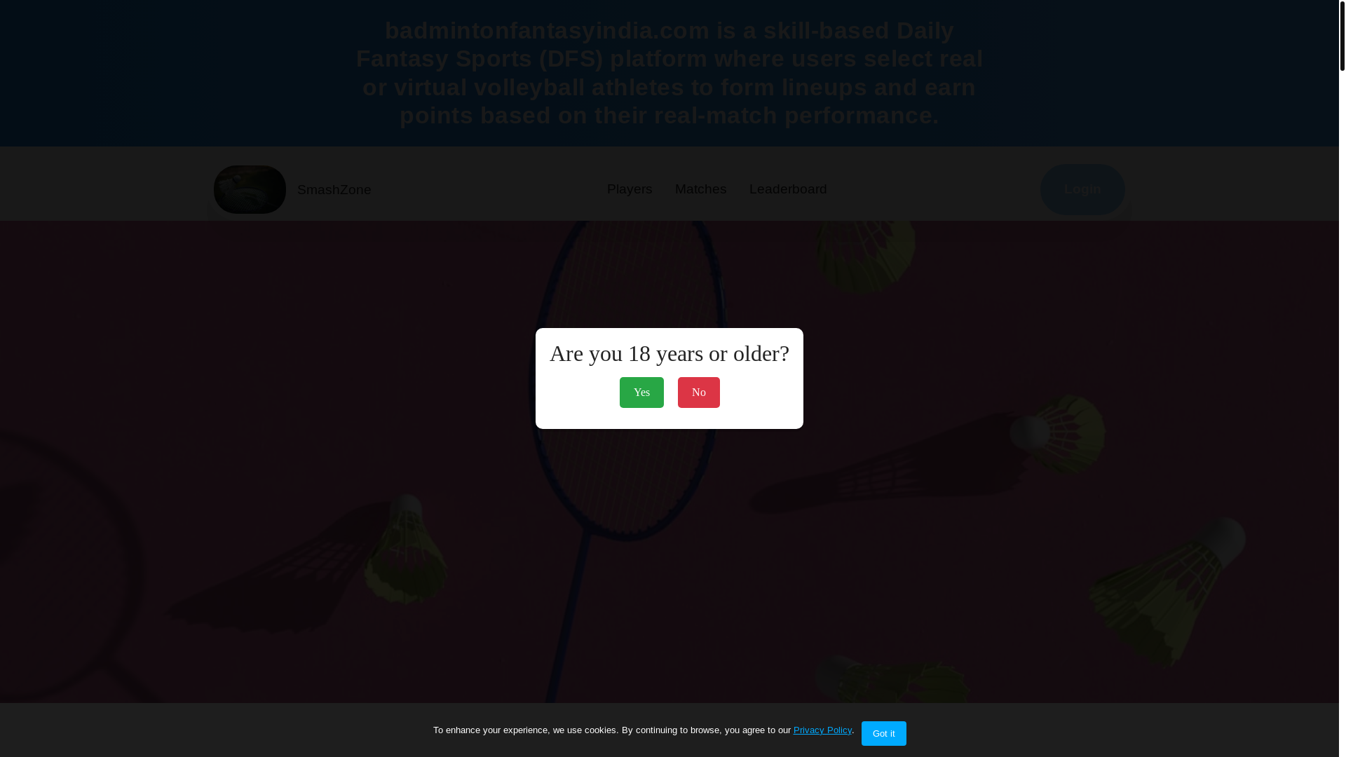 website screenshot of https://badmintonfantasyindia.com/