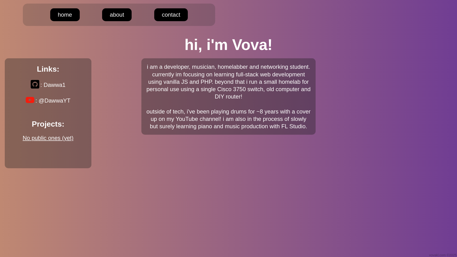 website screenshot of https://vovakl.com/