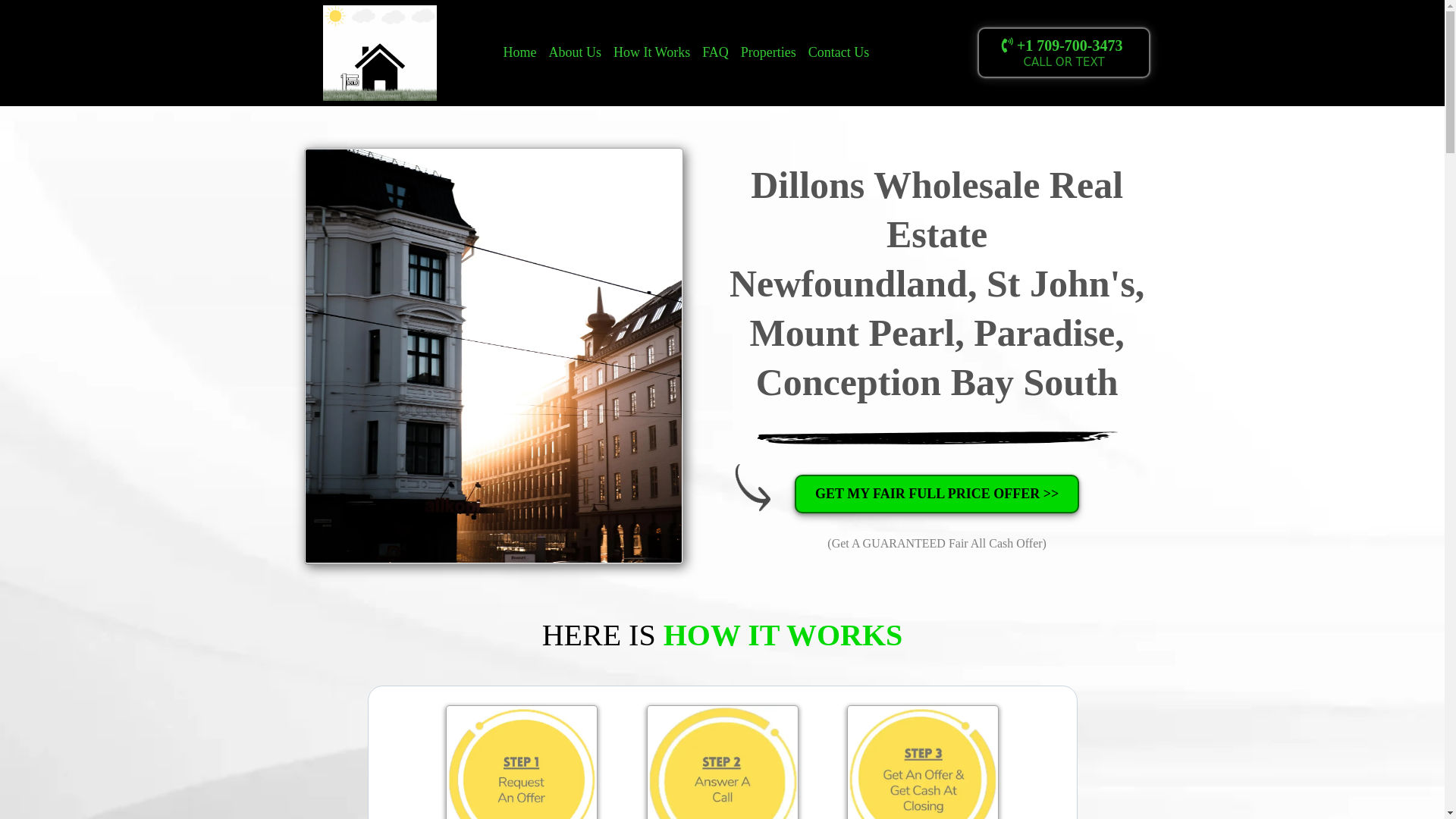 website screenshot of https://dillonswholesale.com/