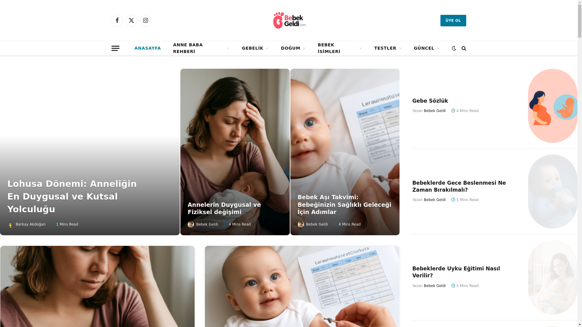 website screenshot of https://bebekgeldi.com