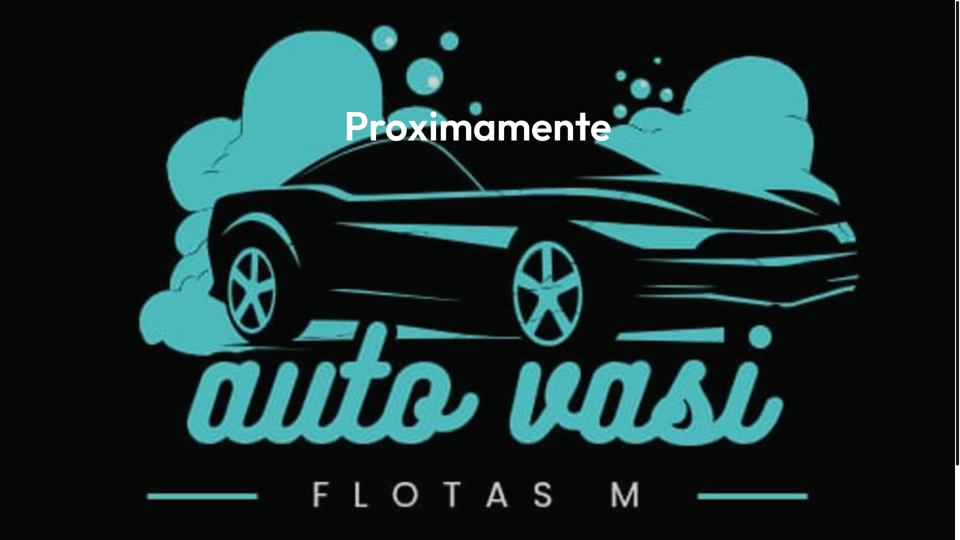 website screenshot of https://vacyflotas.com/