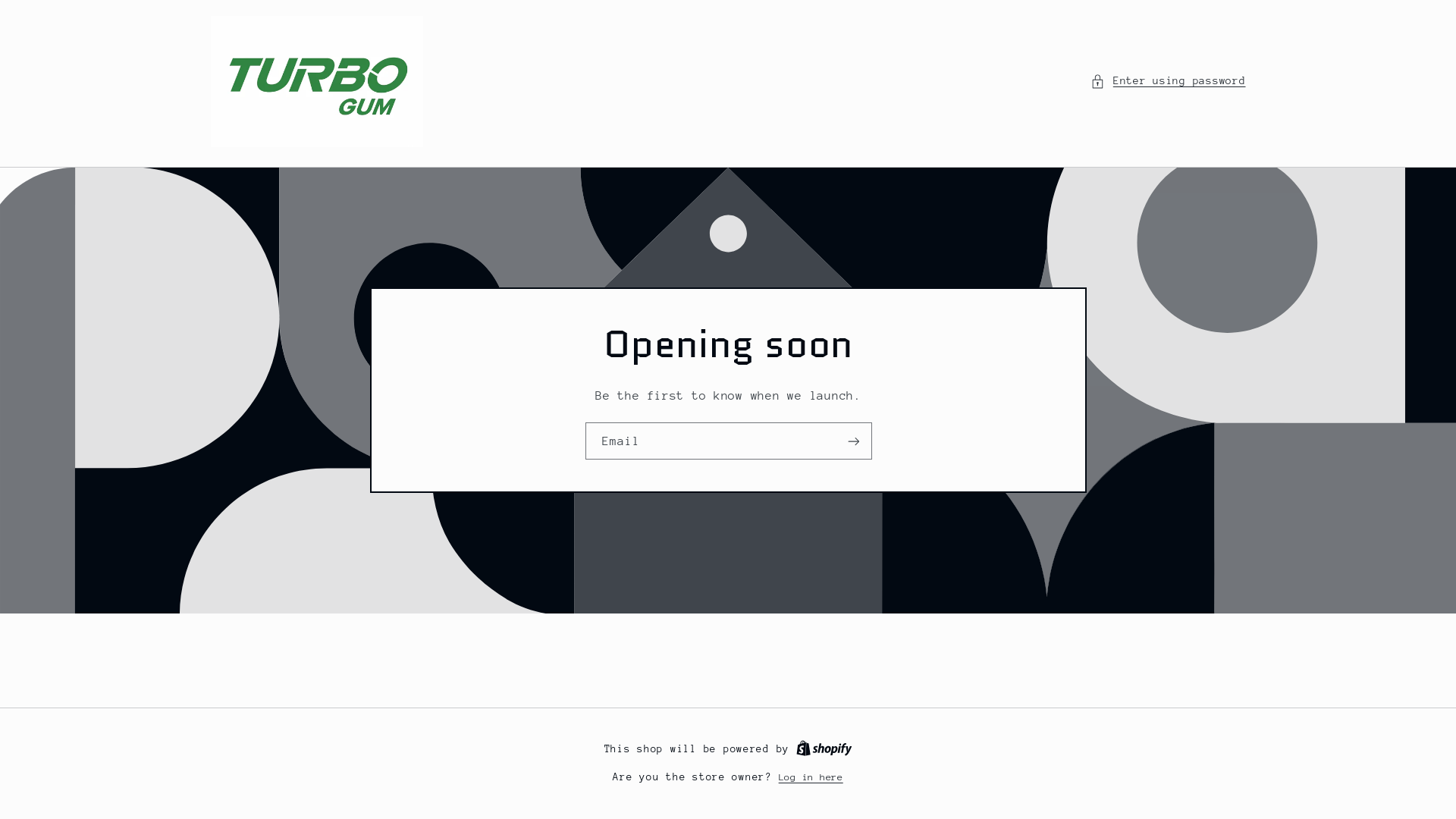 website screenshot of https://turbogum.store/