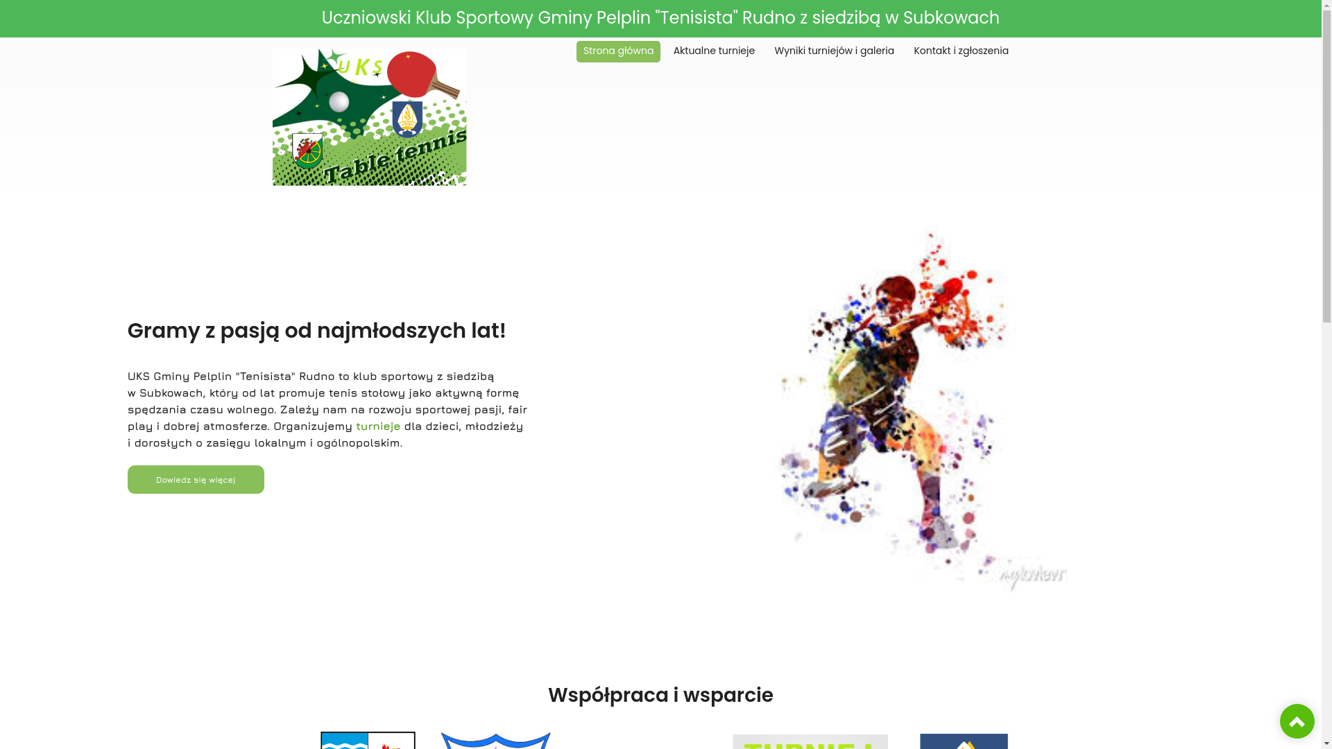 website screenshot of https://ukstenisista.pl/