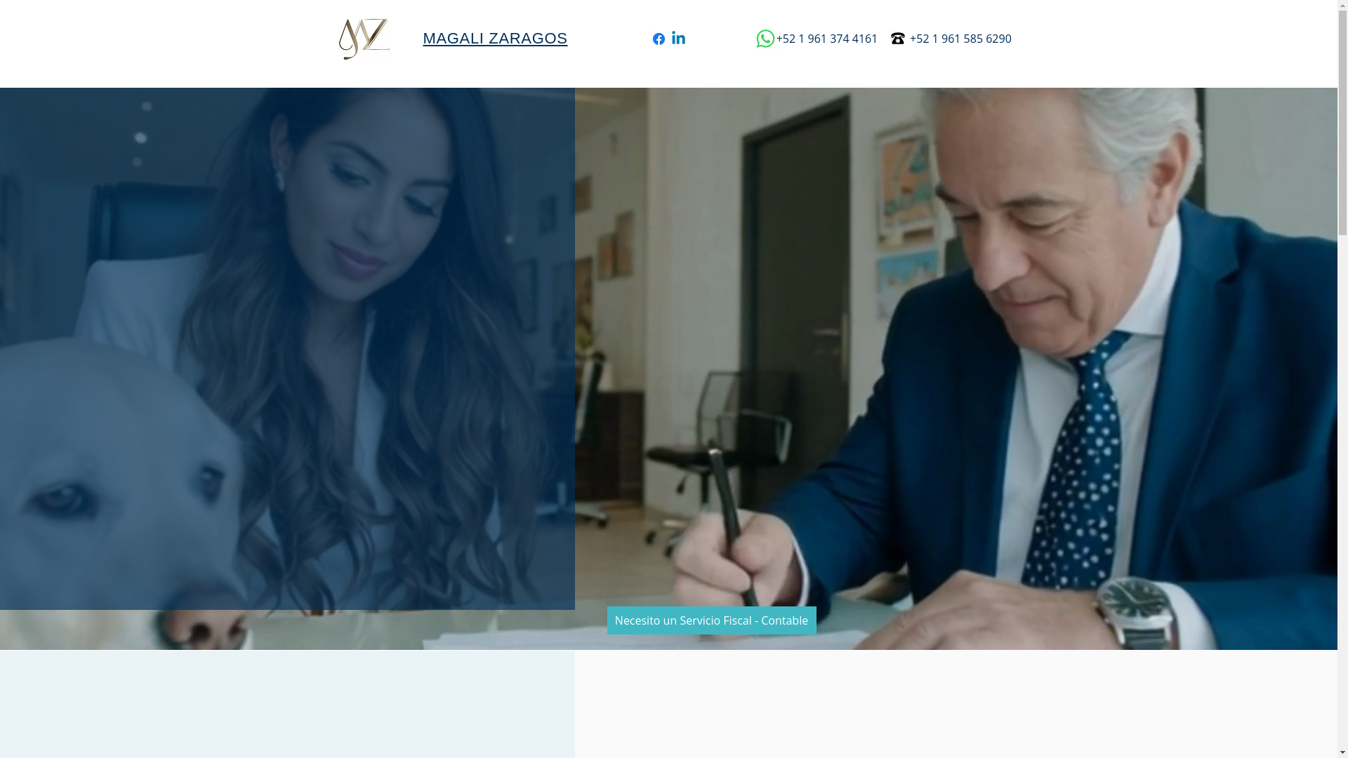 website screenshot of https://magalizaragos.com/