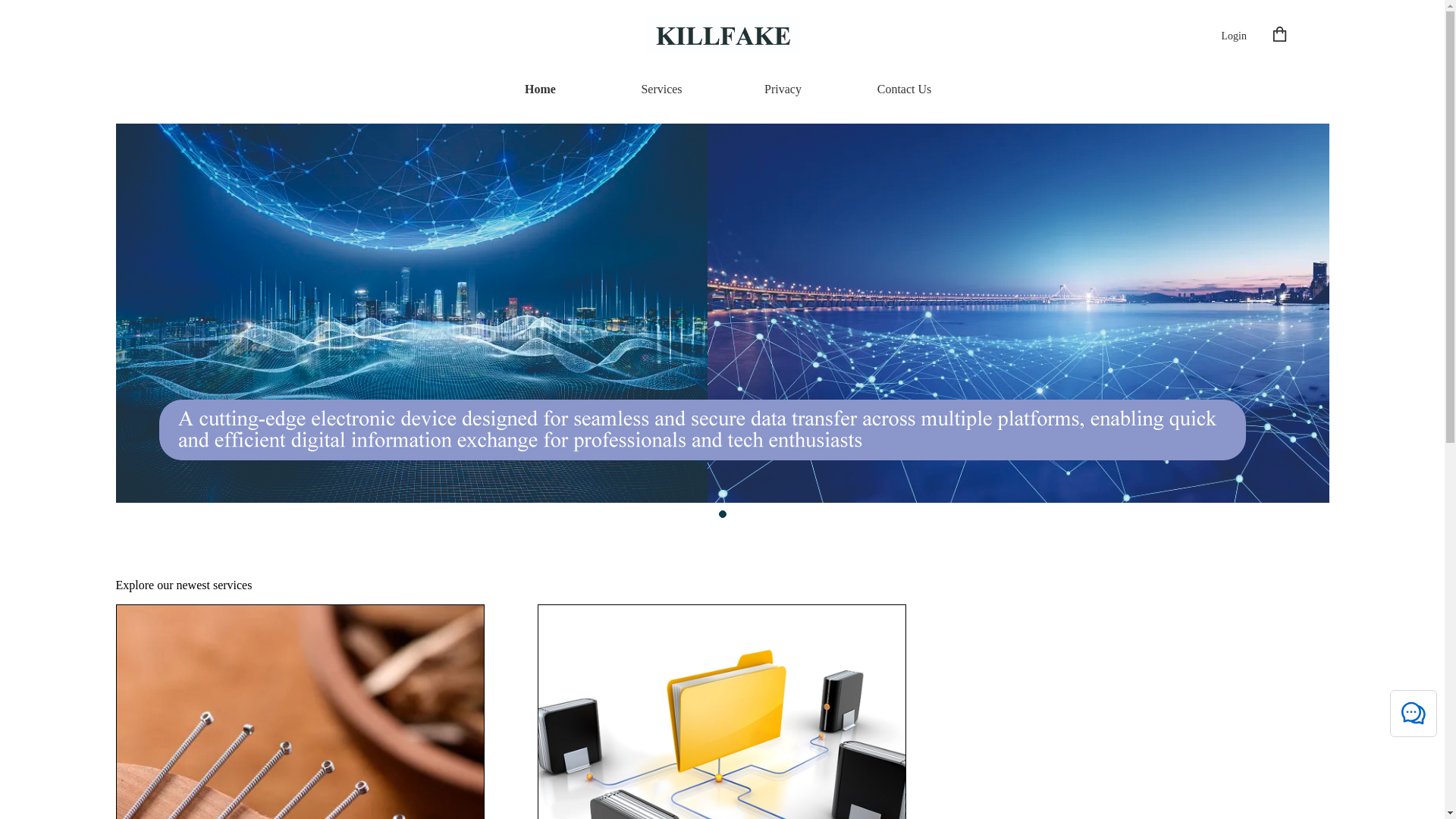 website screenshot of https://killfake-product.xyz/