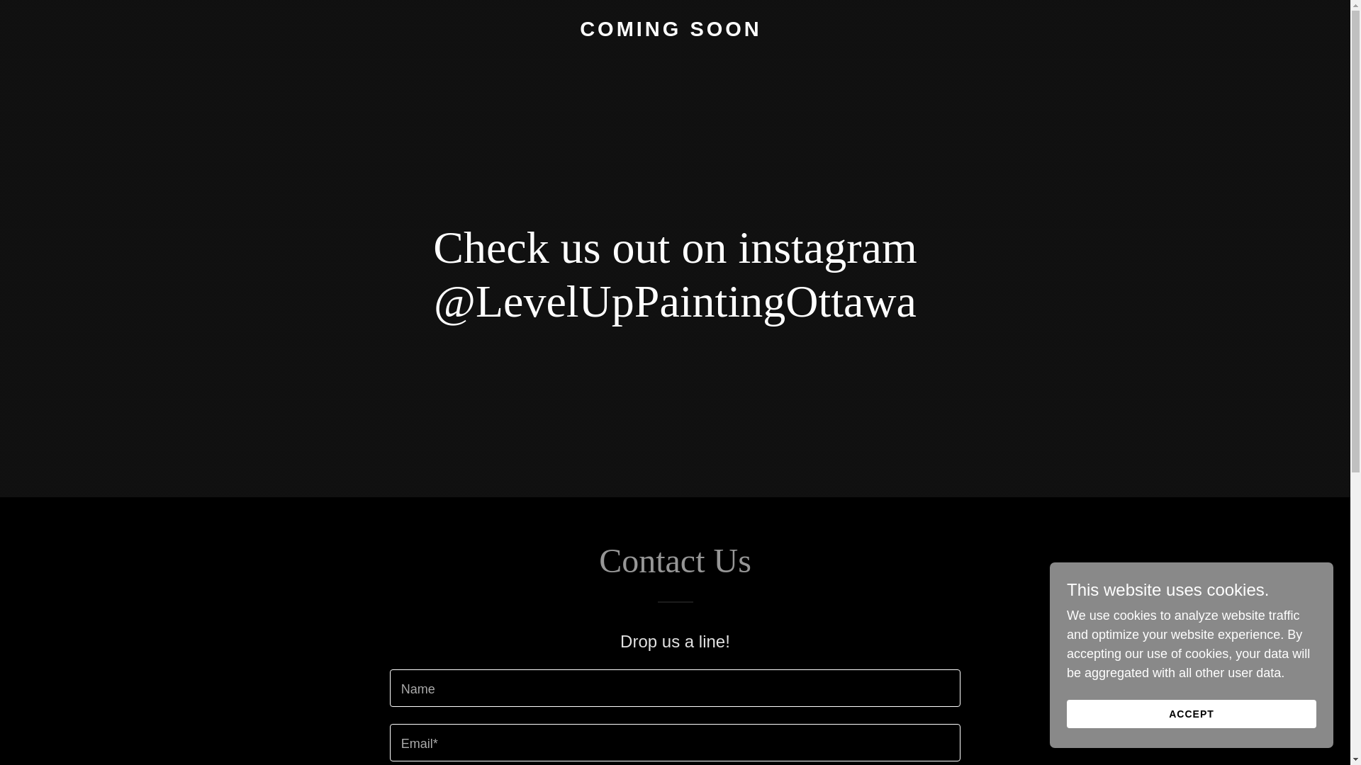 website screenshot of https://leveluppainting.ca/