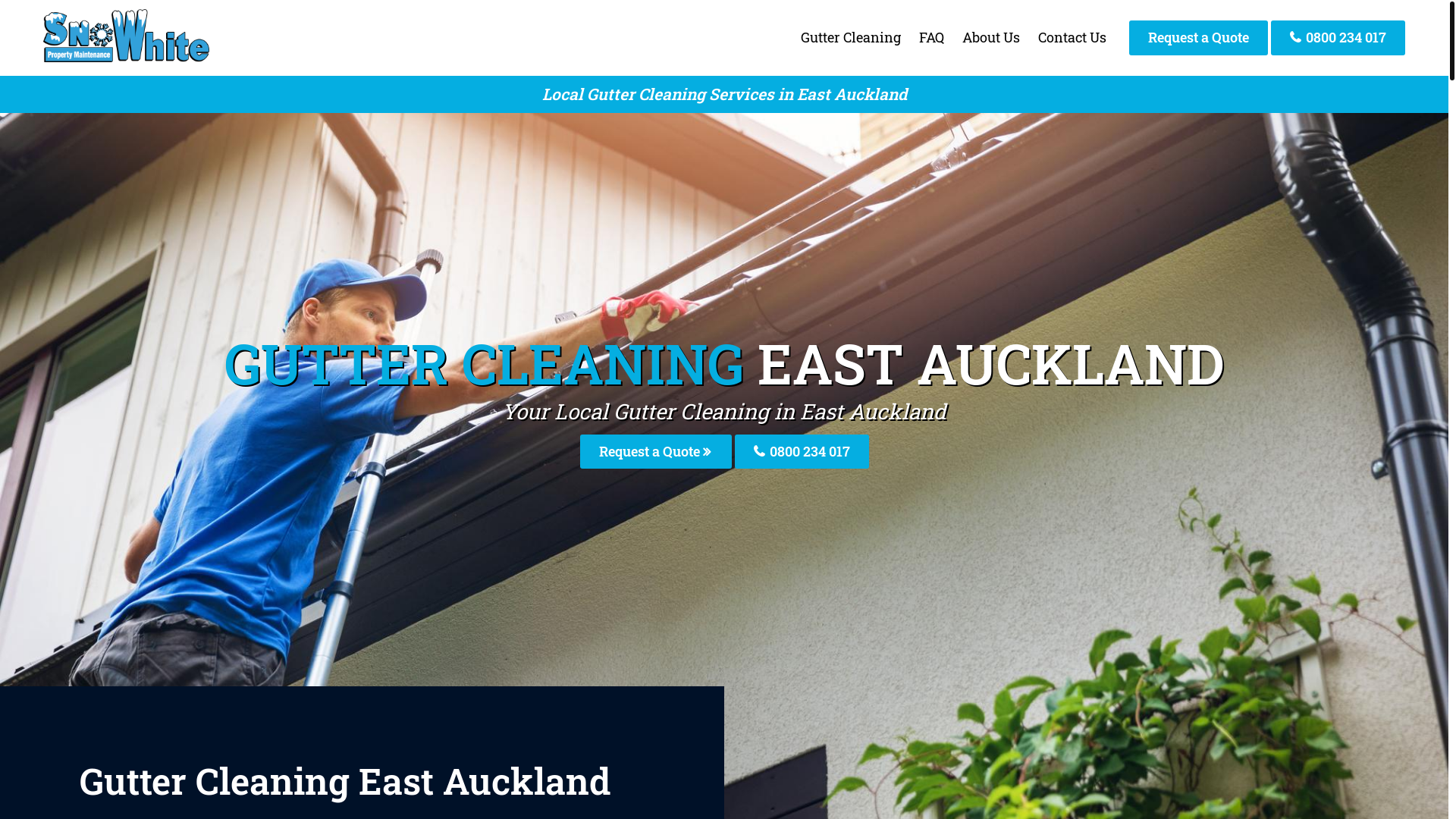 website screenshot of https://eastaucklandguttercleaning-co-nz.pages.dev/