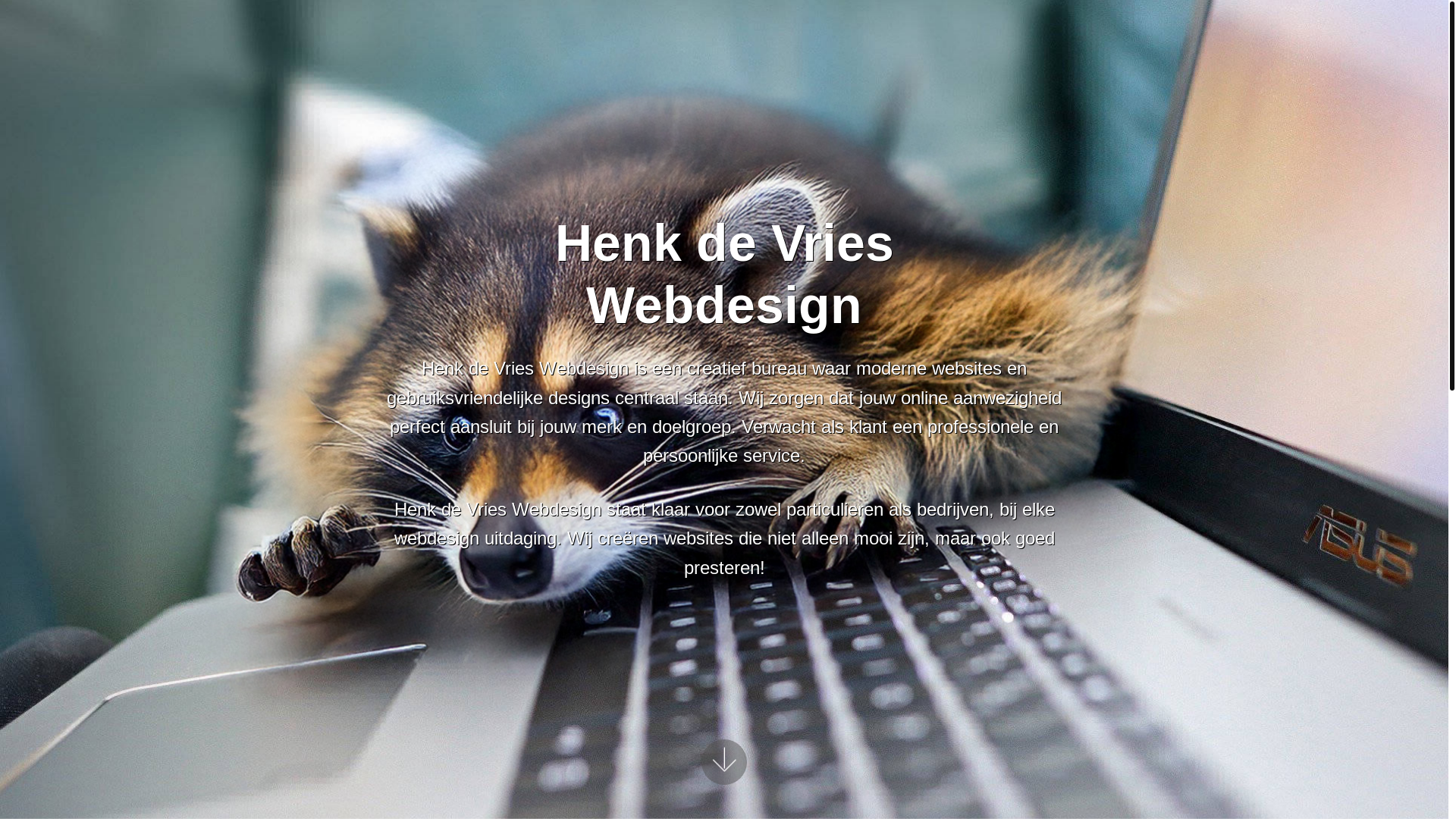 website screenshot of https://henkdevrieswebdesign.online/