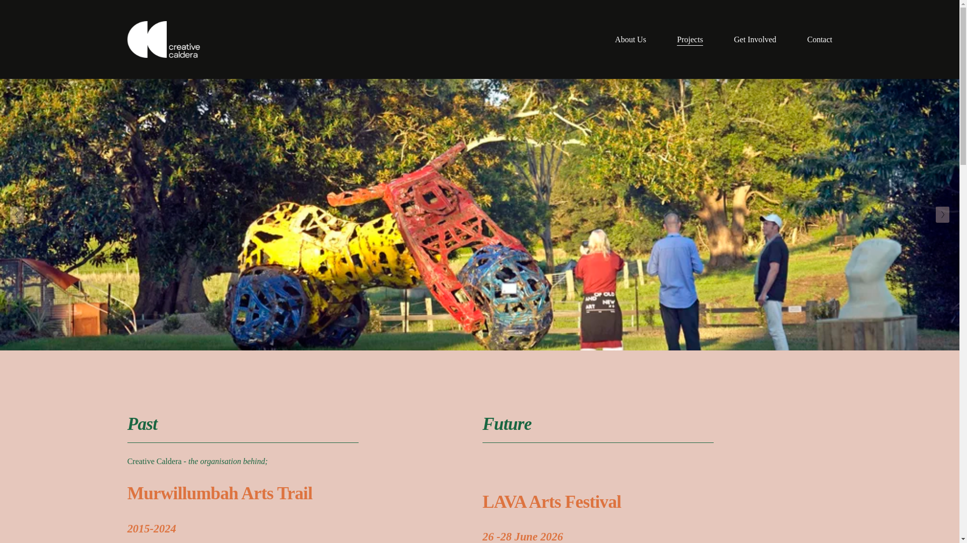 website screenshot of https://www.creativecaldera.com.au/projects