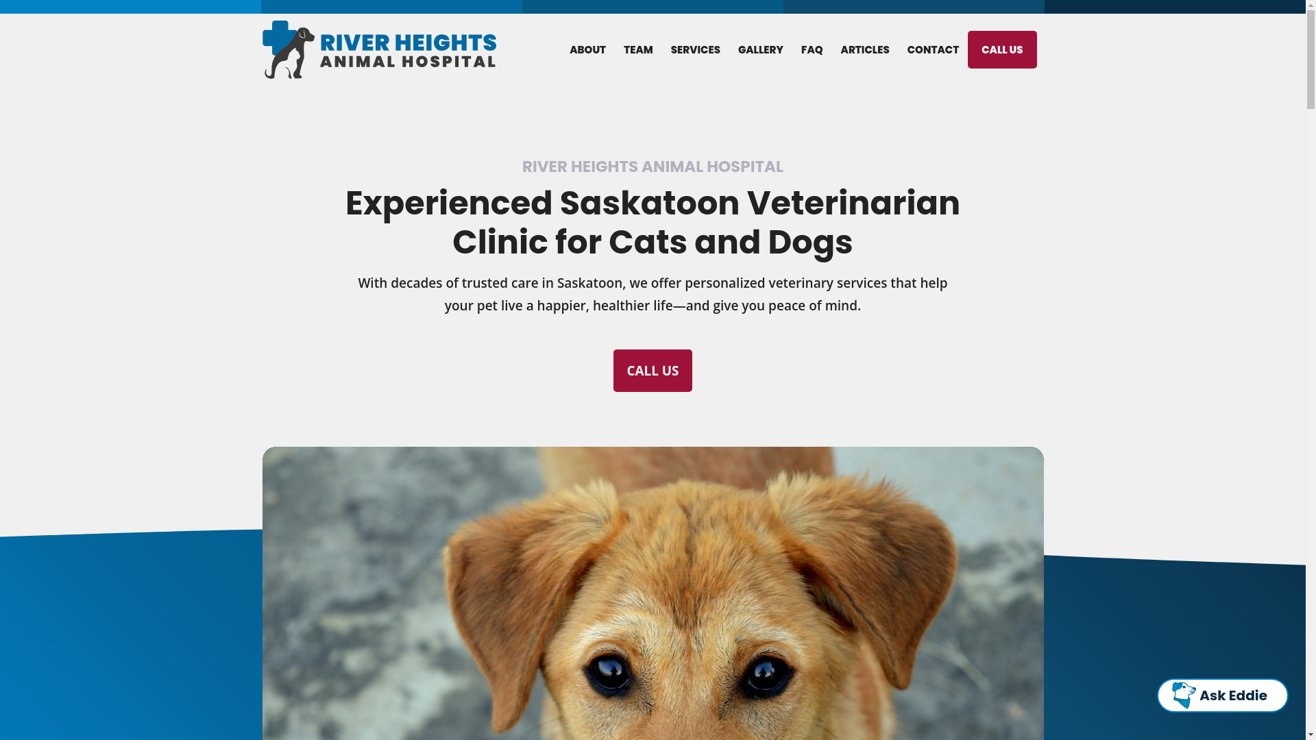 website screenshot of https://riverheightsanimalhospital.pages.dev/