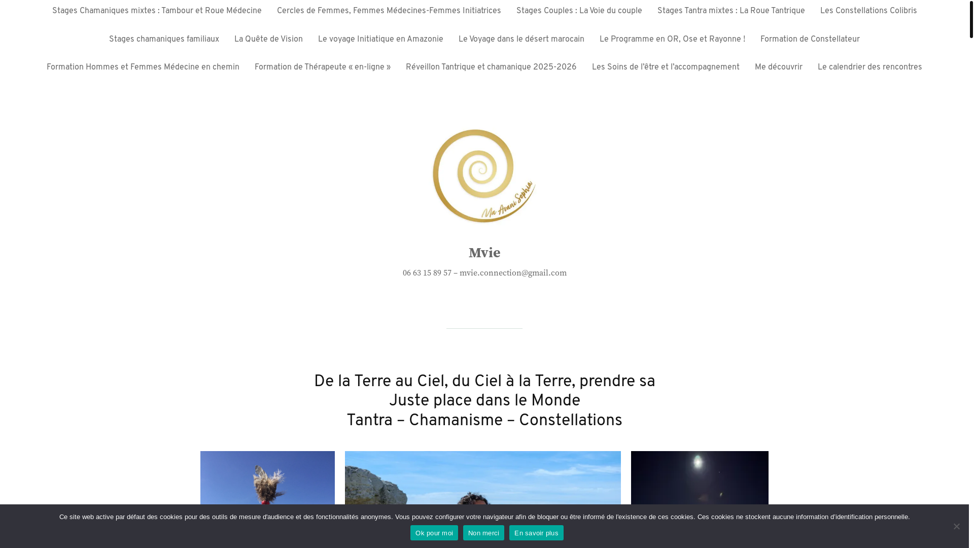 website screenshot of https://lavoiedusacre.com/