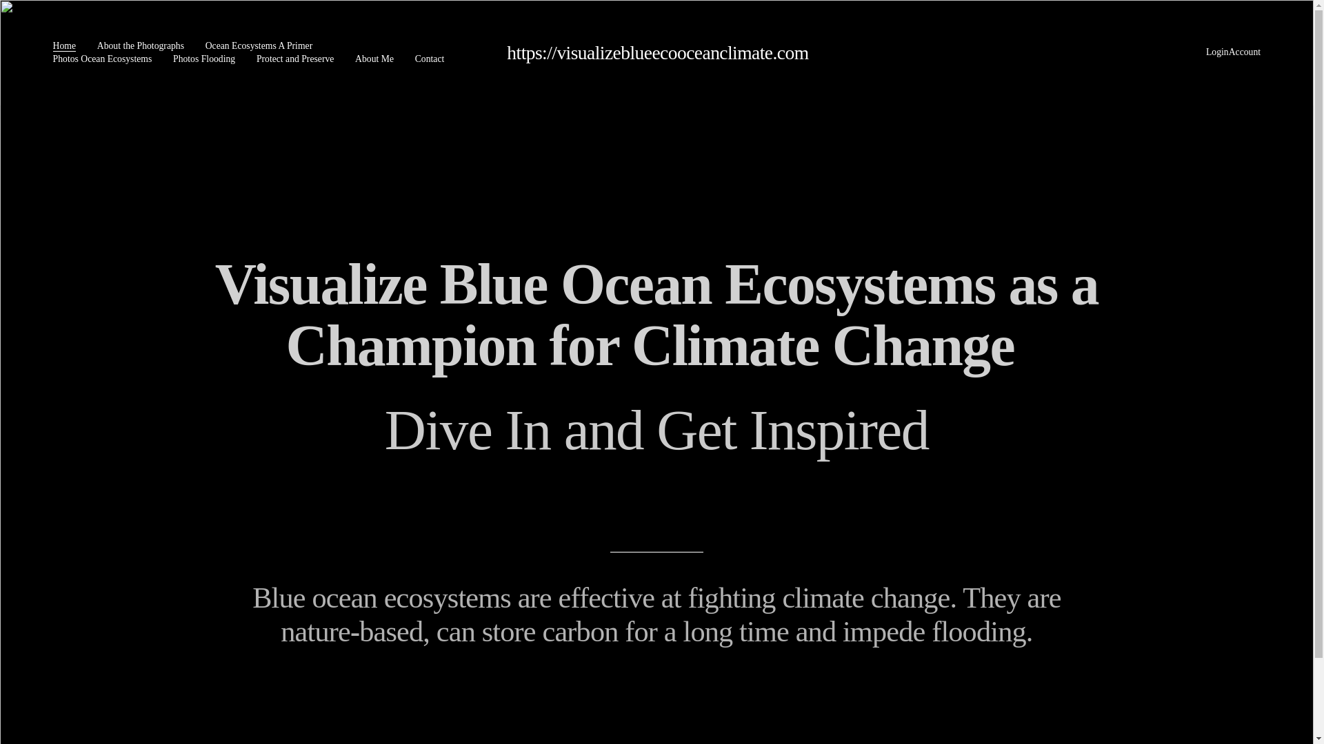 website screenshot of https://visualizeblueecooceanclimate.com/