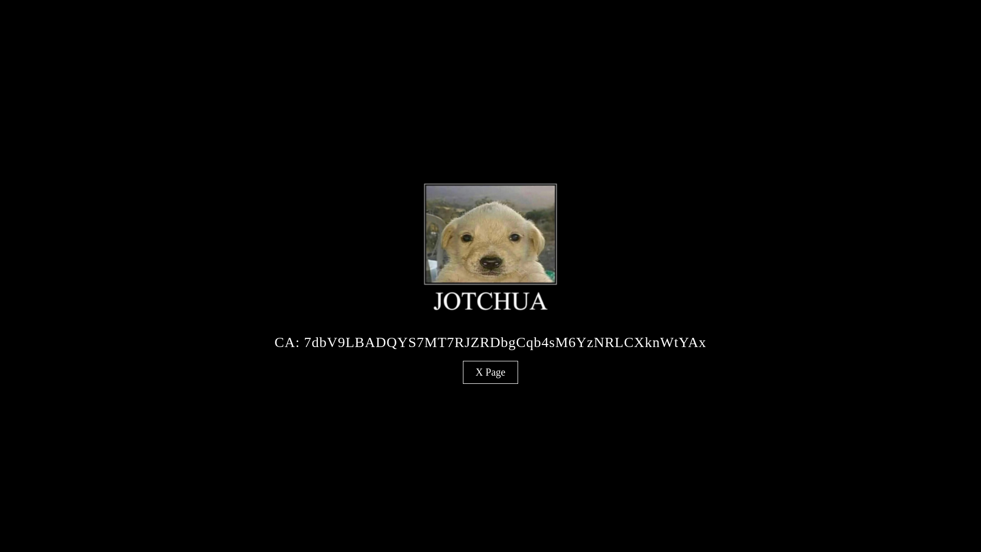 website screenshot of https://jotchuadog.fun/