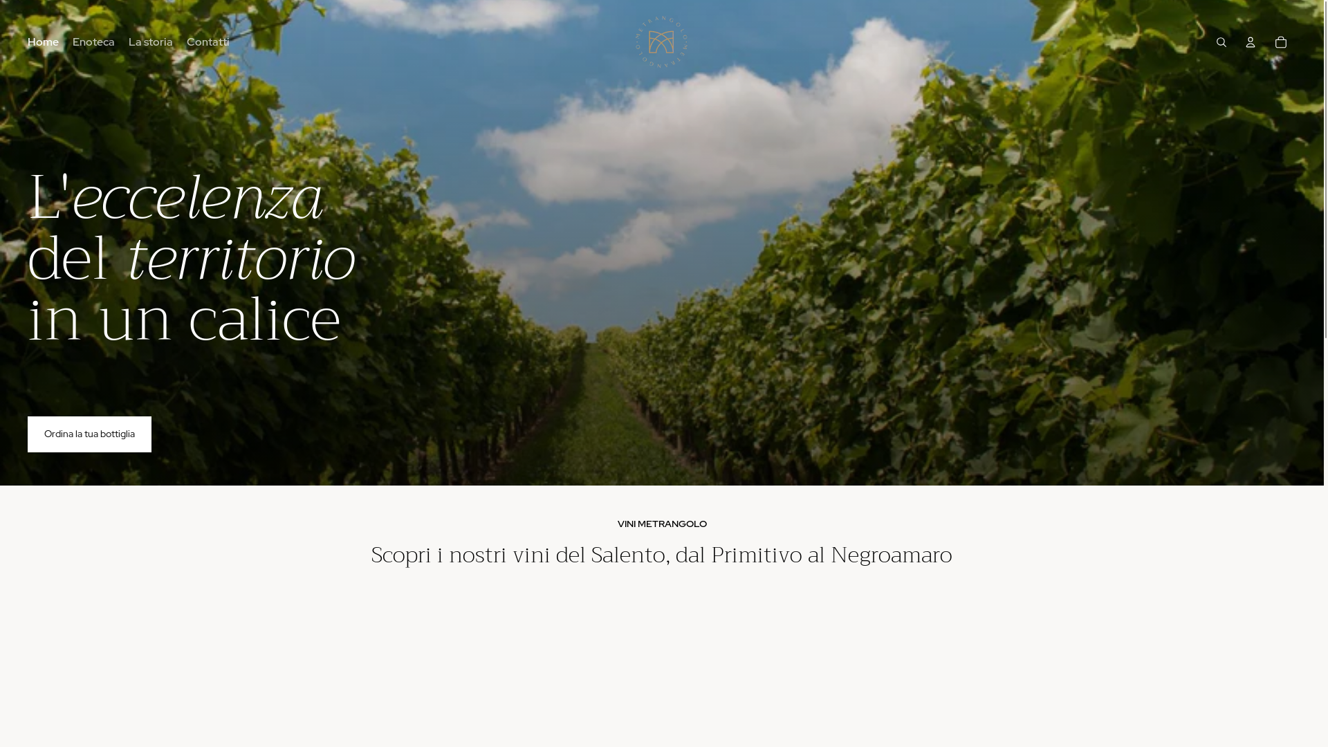 website screenshot of https://vinimetrangolo.com/