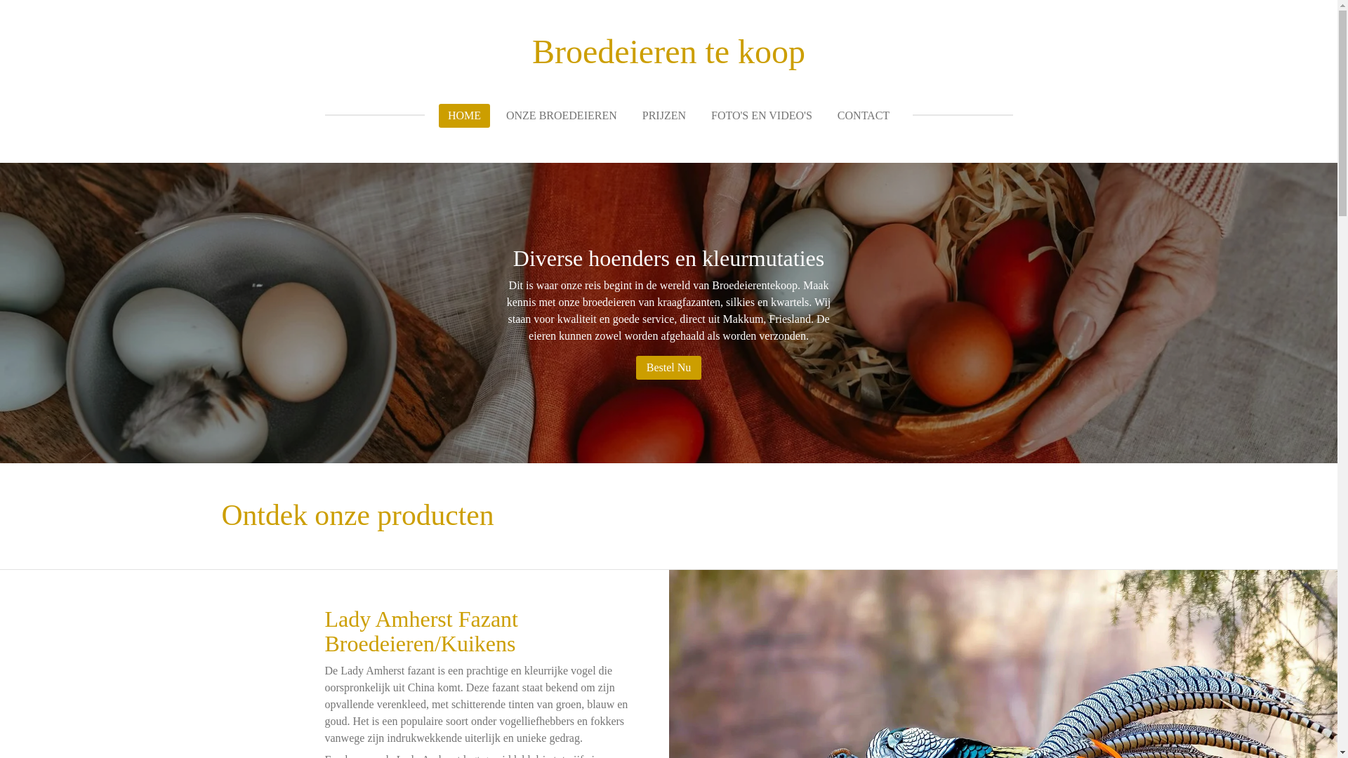 website screenshot of https://broedeierentekoop.net/