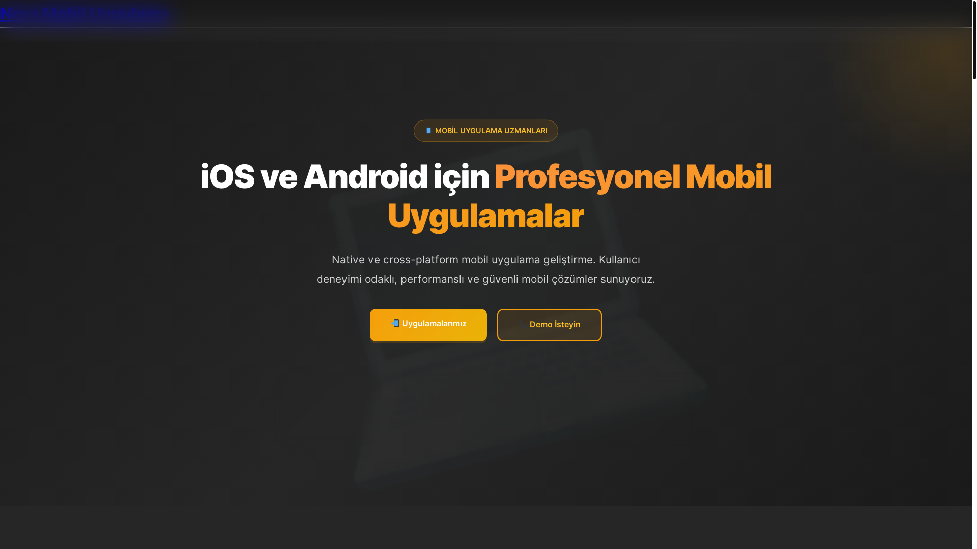 website screenshot of https://noragirisi.com/