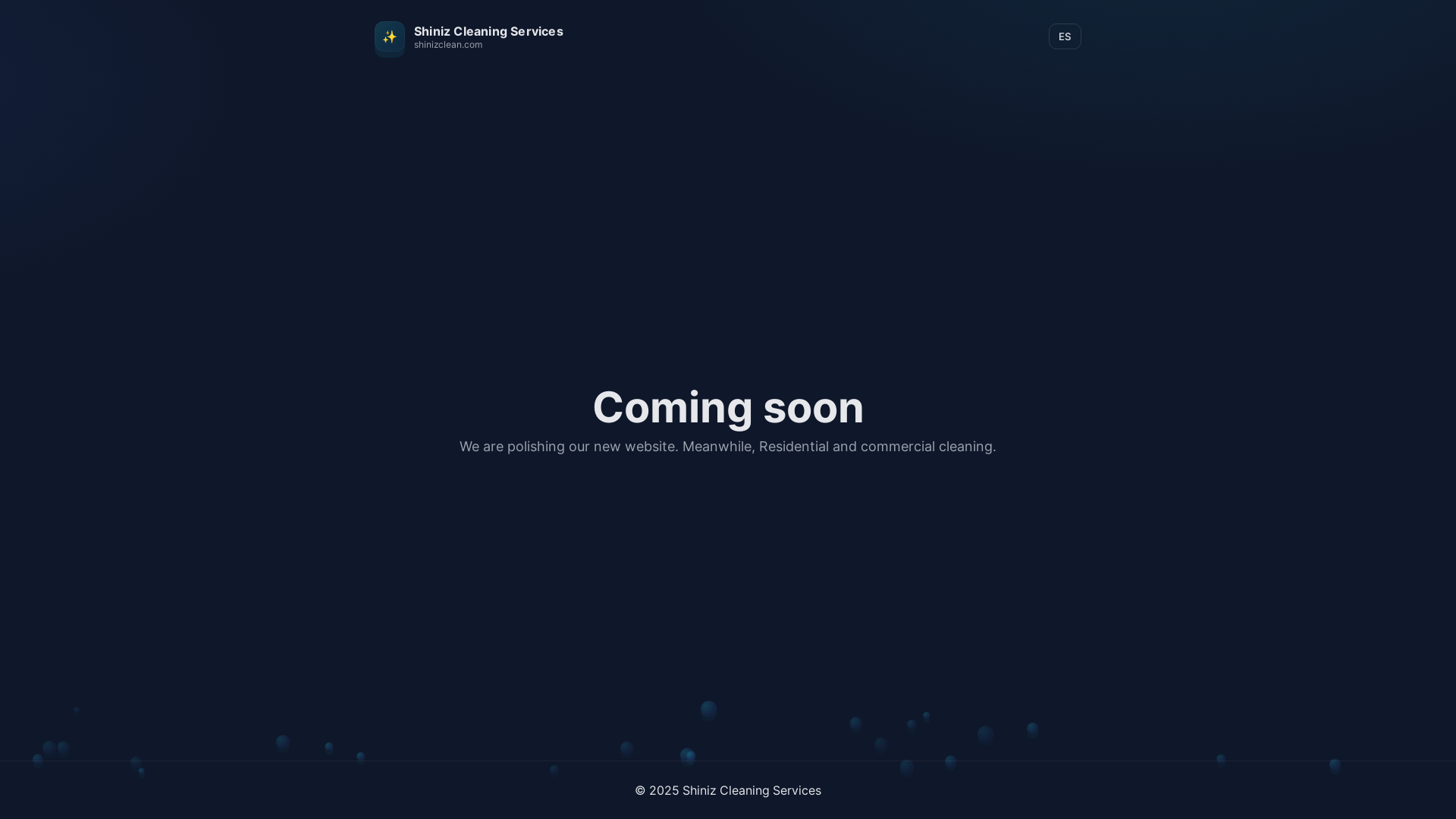 website screenshot of https://shinizclean.com/