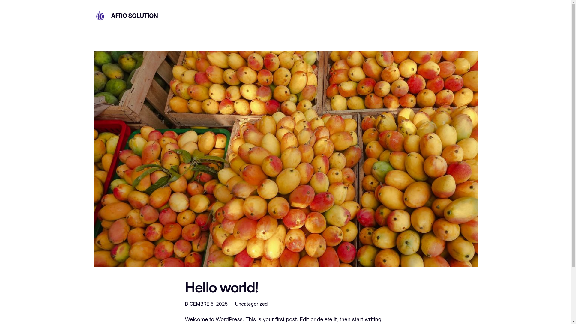 website screenshot of https://afro-solution.com/