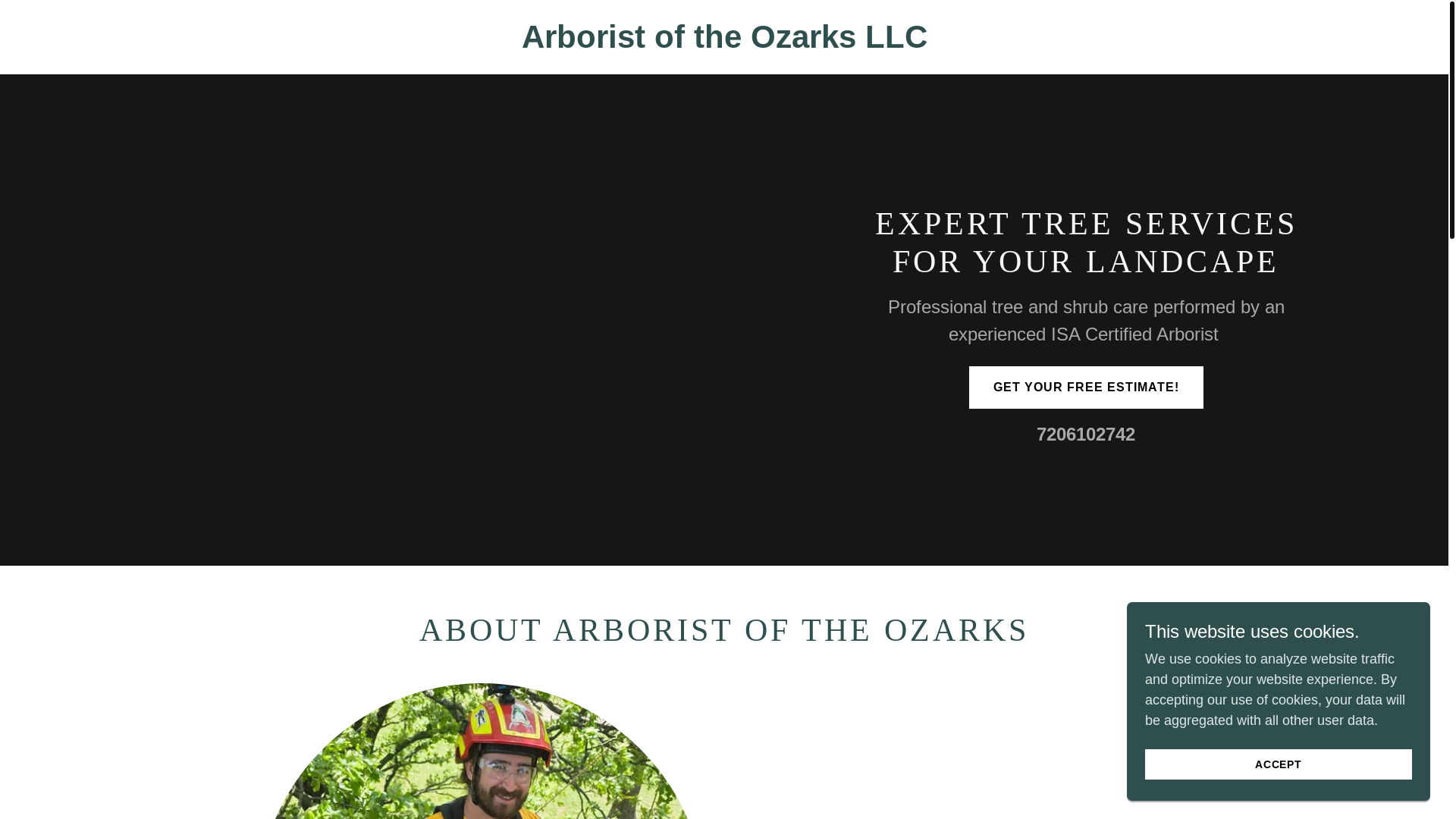 website screenshot of https://arboristoftheozarks.com/