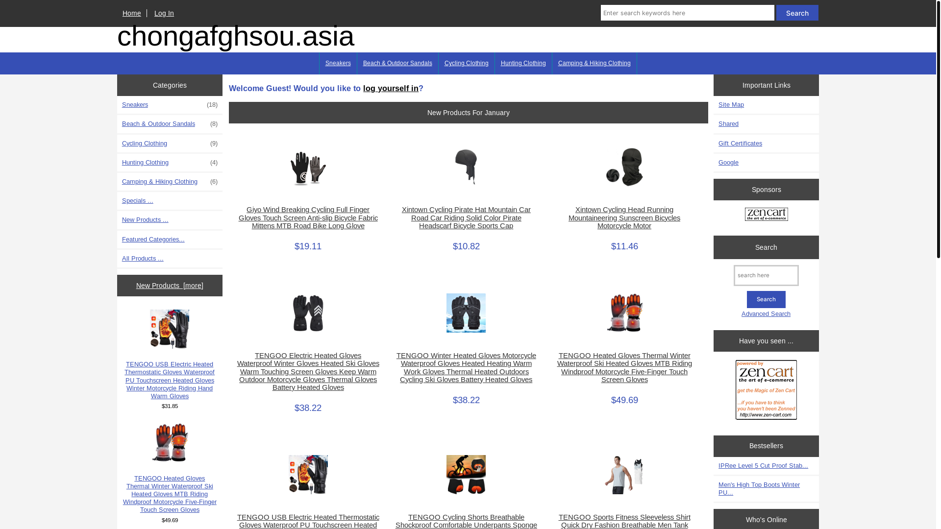 website screenshot of https://chongafghsou.asia/