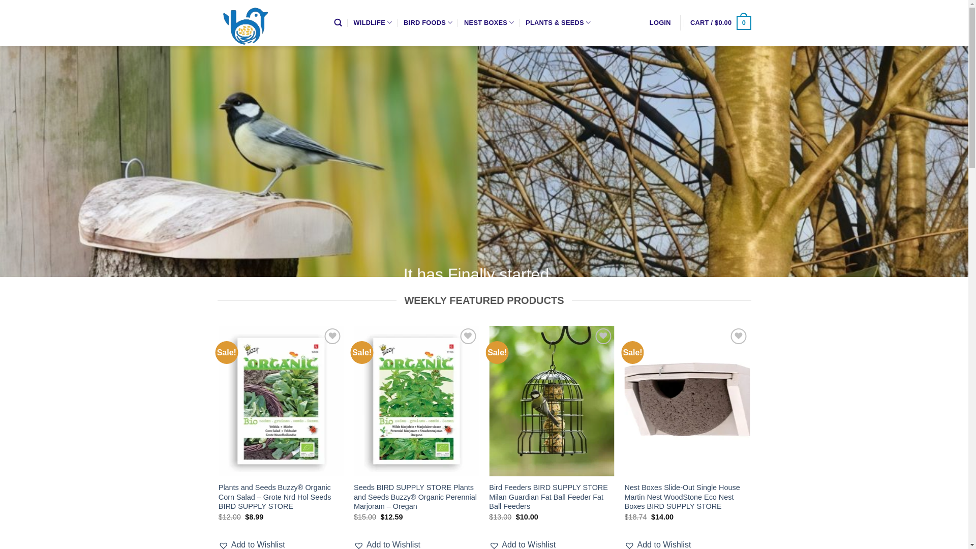 website screenshot of https://meagancelio.shop/