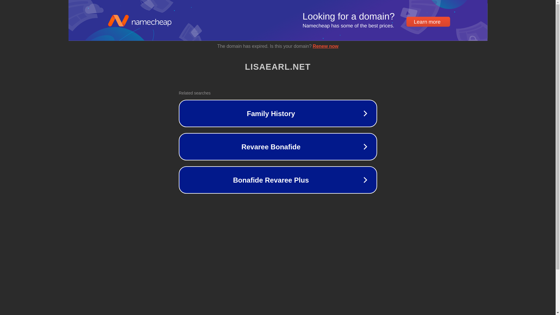 website screenshot of https://lisaearl.net/