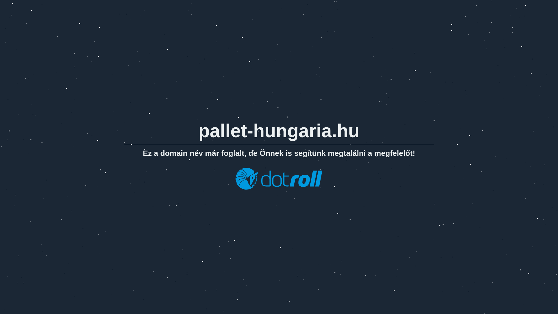 website screenshot of https://pallet-hungaria.hu/